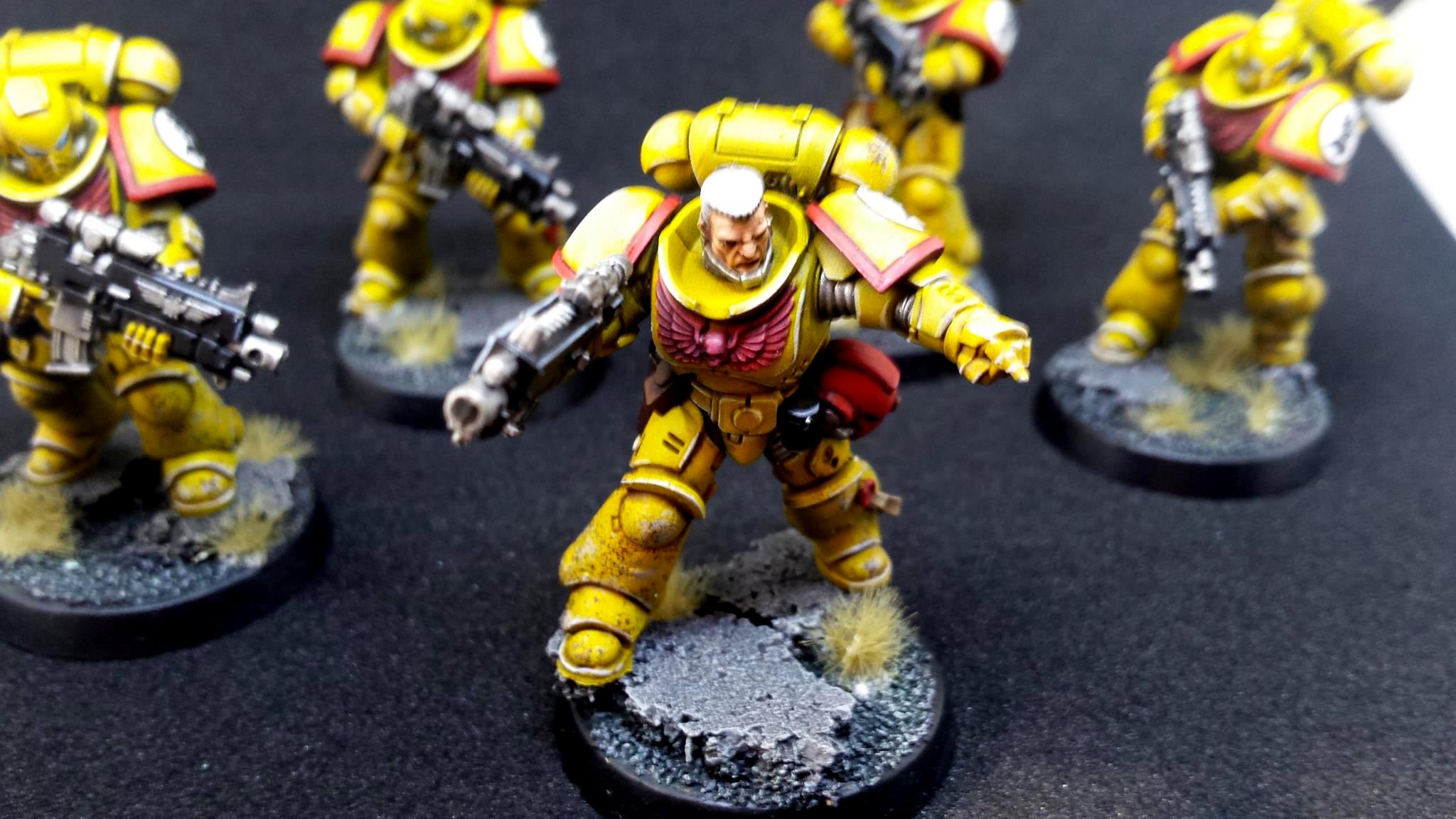 Imperial Fists, Prmiaris Space Marines IntercessorsSquad A