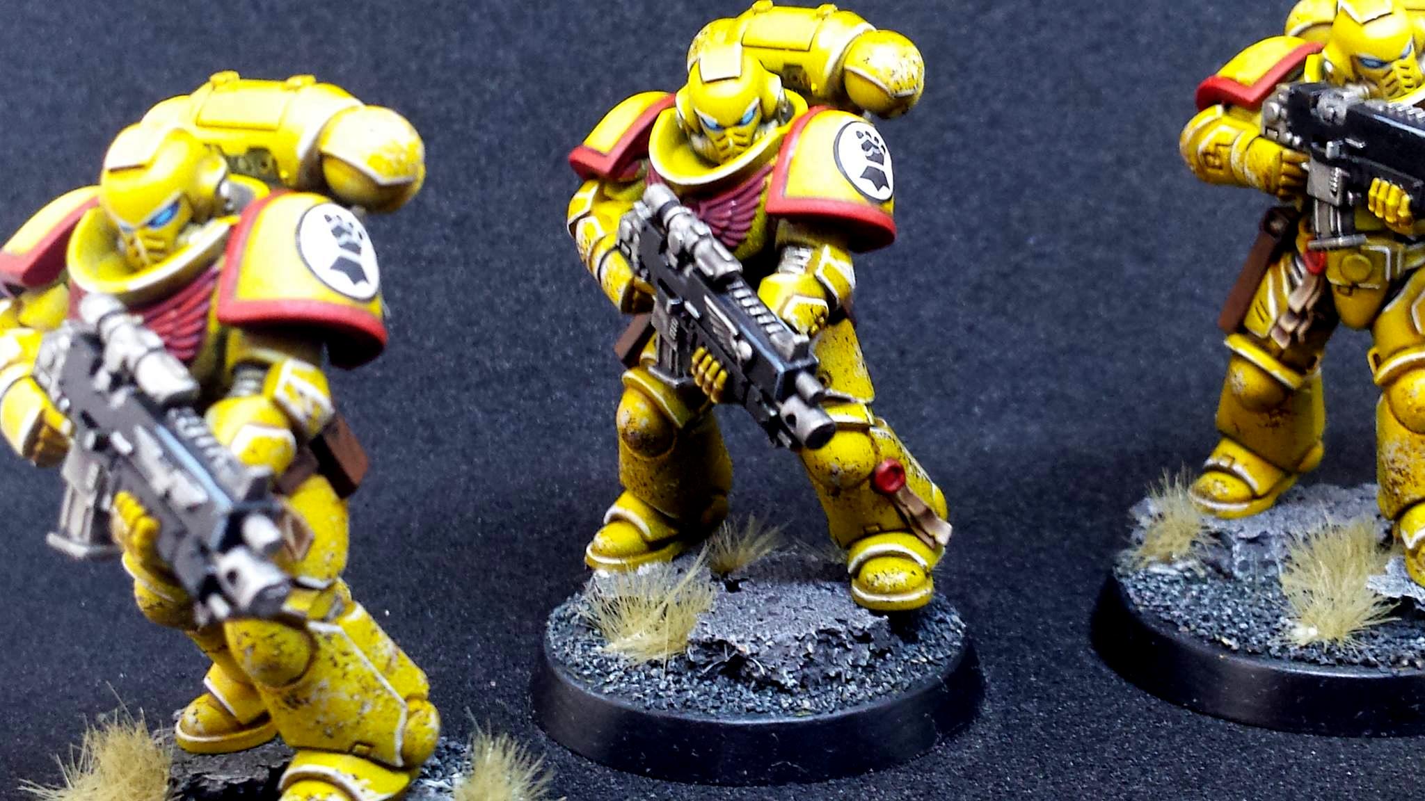 Imperial Fists, Prmiaris Space Marines IntercessorsSquad A