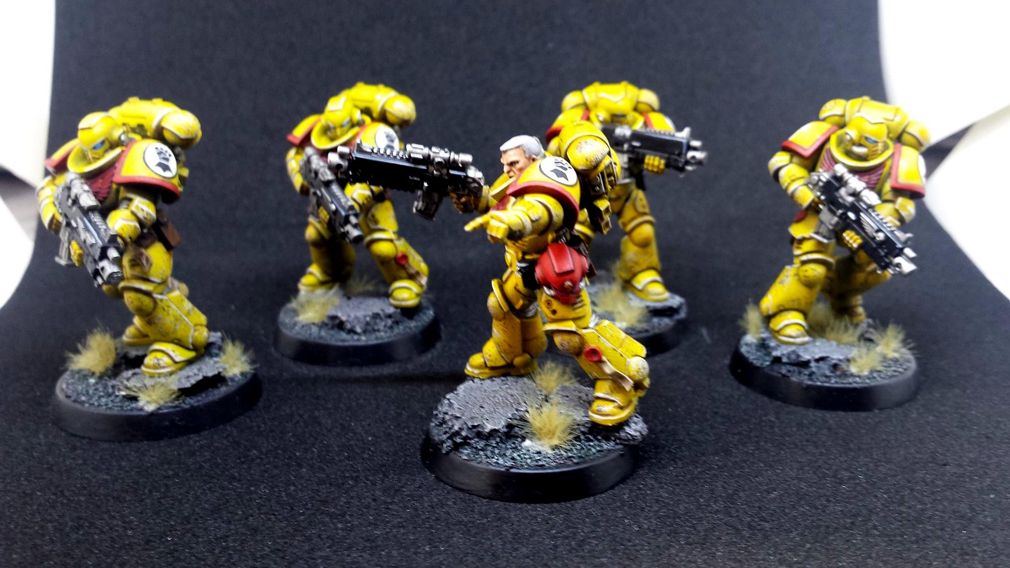 Imperial Fists, Prmiaris Space Marines IntercessorsSquad A