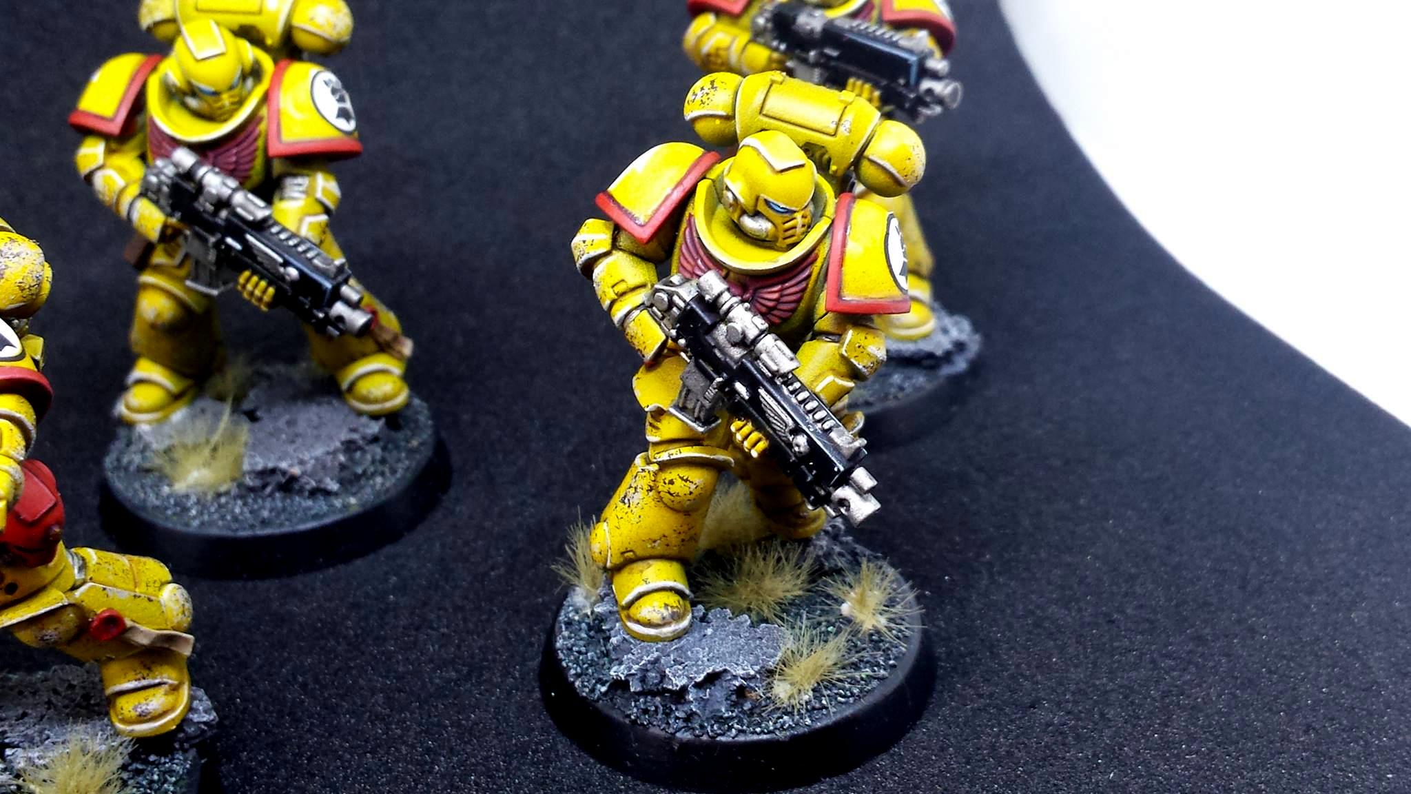 Imperial Fists, Prmiaris Space Marines IntercessorsSquad A