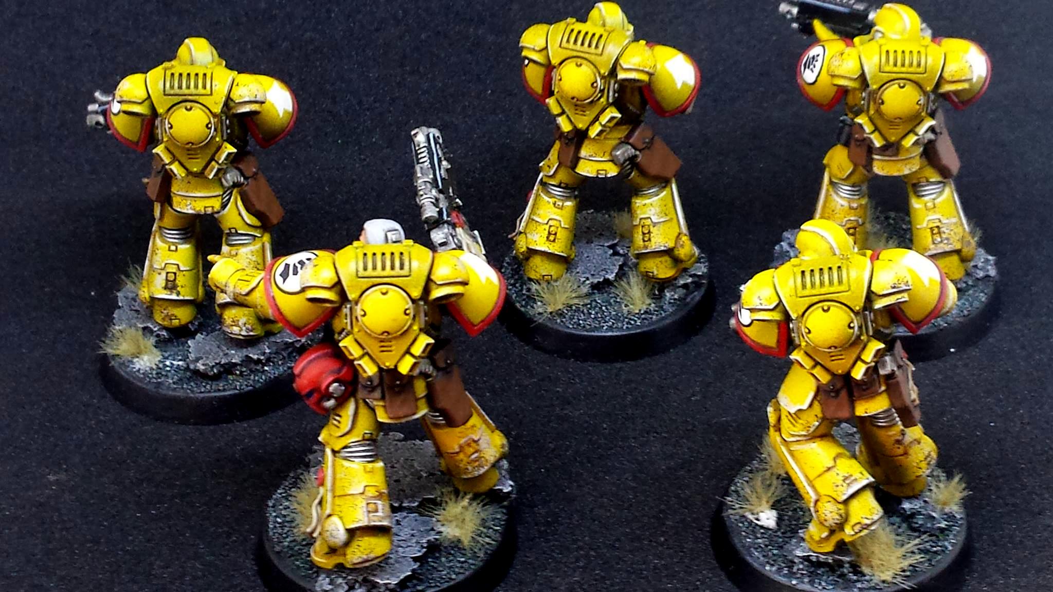 Imperial Fists, Prmiaris Space Marines IntercessorsSquad A
