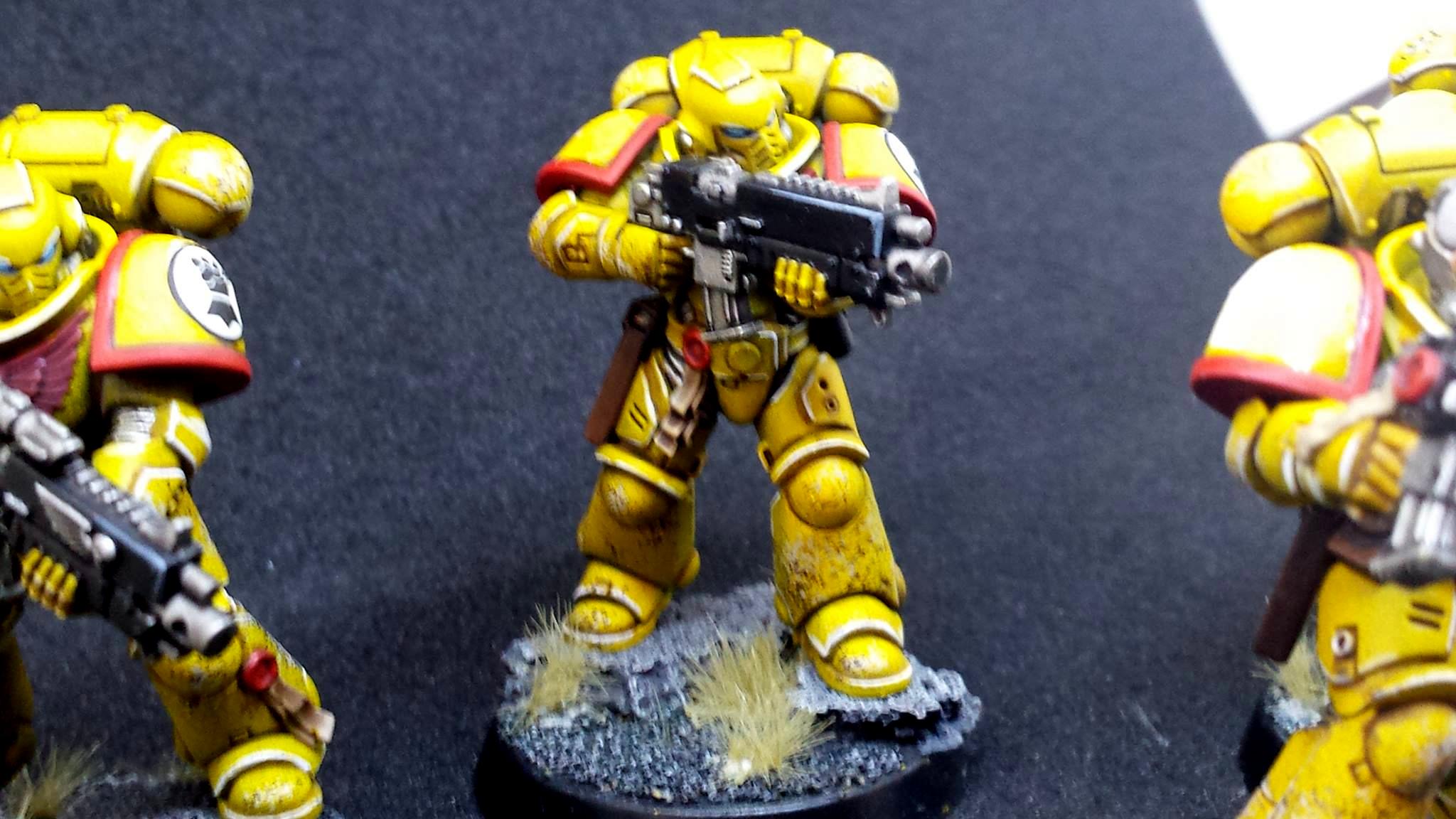 Imperial Fists, Prmiaris Space Marines IntercessorsSquad A