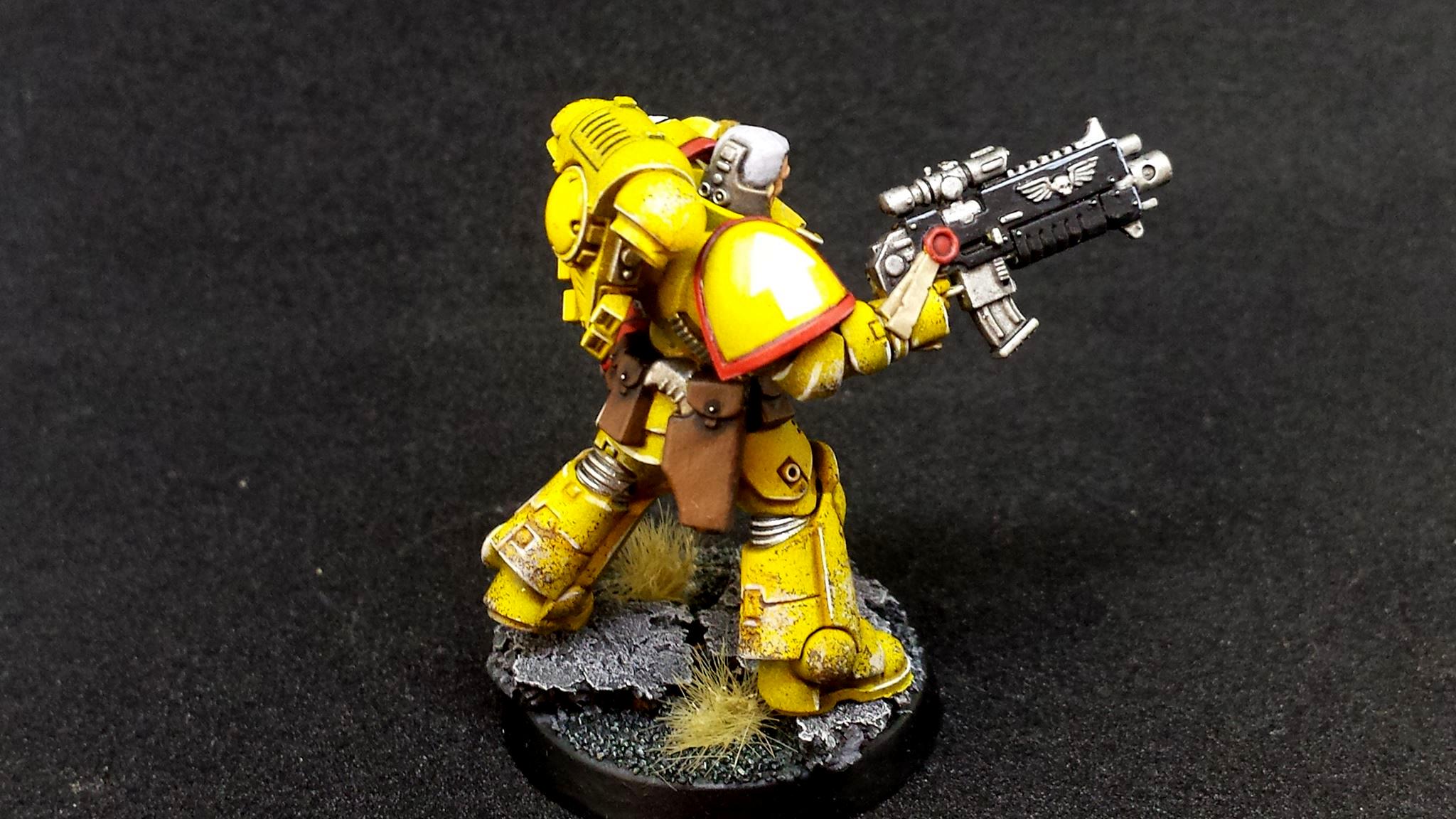 Imperial Fists, Prmiaris Space Marines IntercessorsSquad A