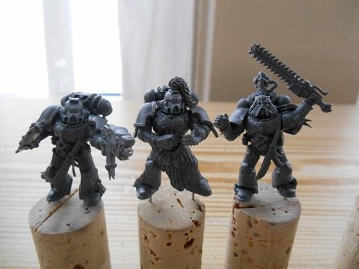 Space Wolves