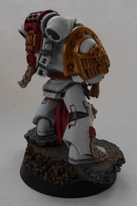 Sternguard Wip, White Scars
