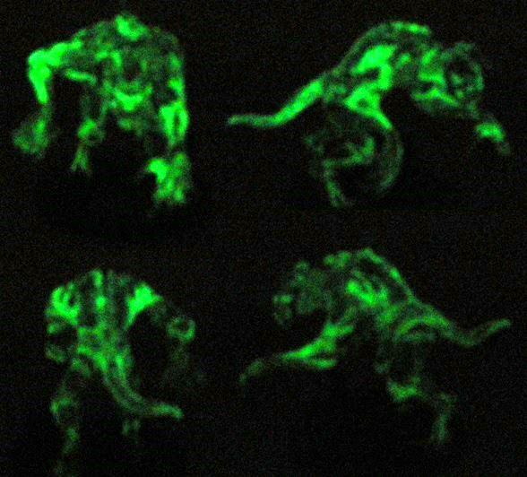 Glowing Deathclaw in the Dark