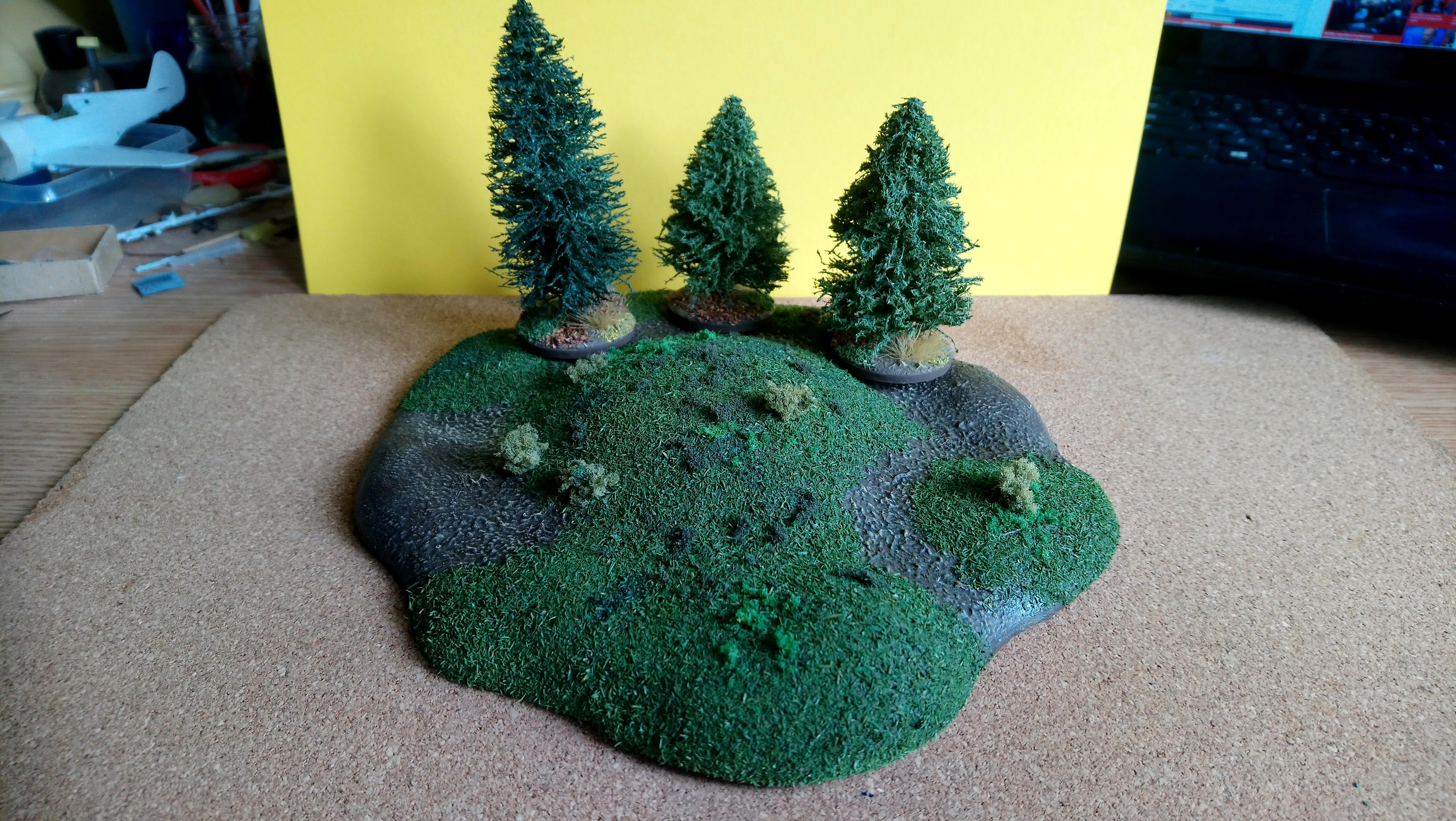 Terrain