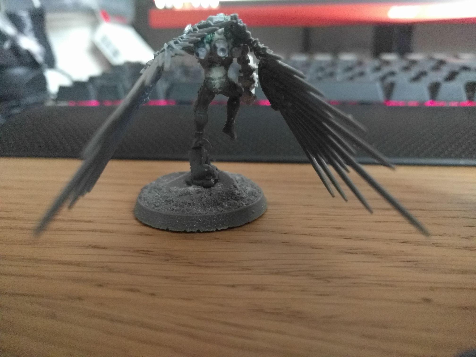Rear view of Corsair prince