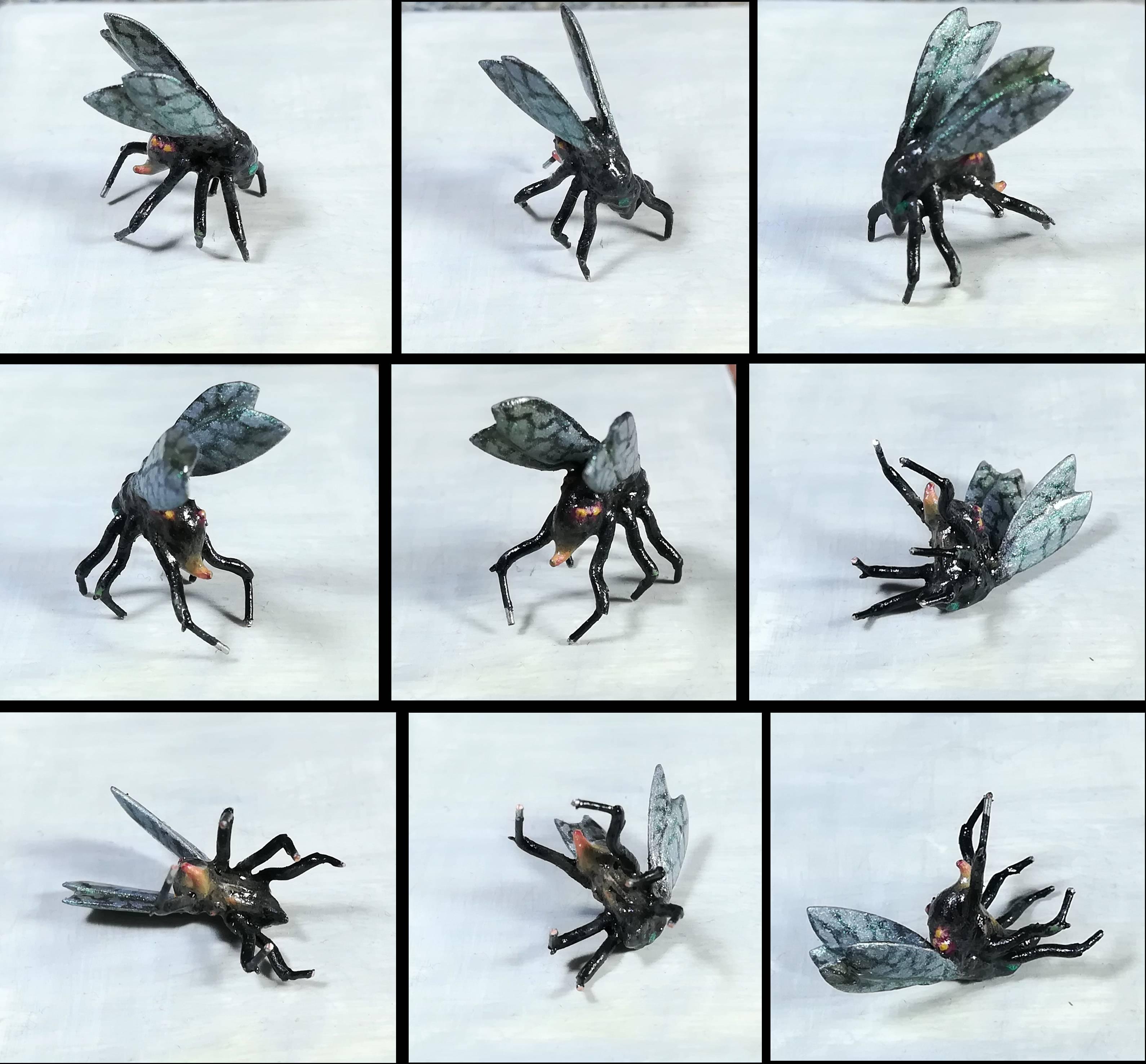 Plague marine fly
