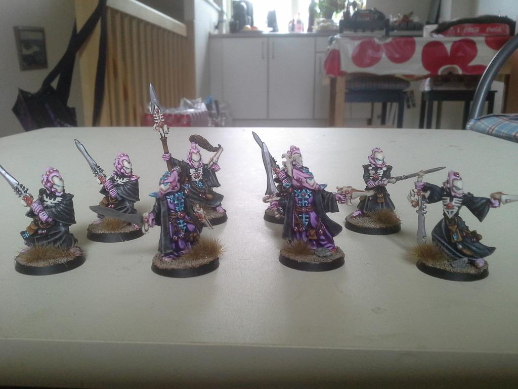 Pink Eldar Counsil