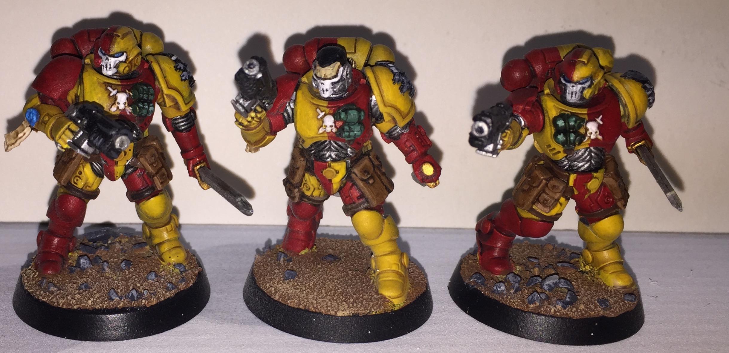 Howling Griffons Reivers 