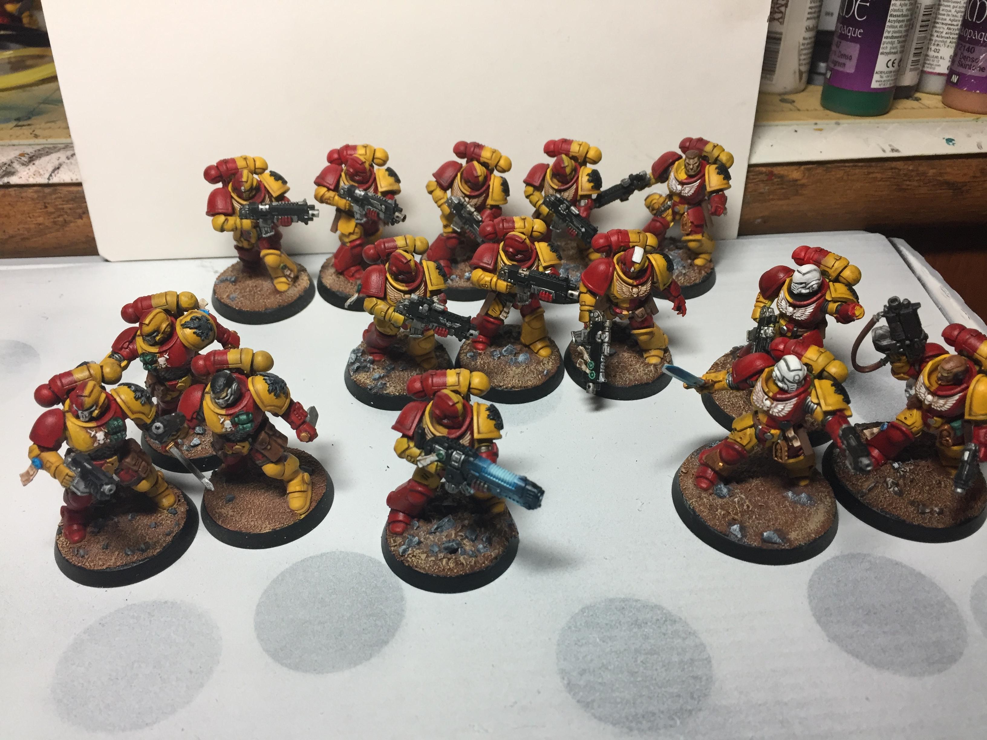 Army shot so far