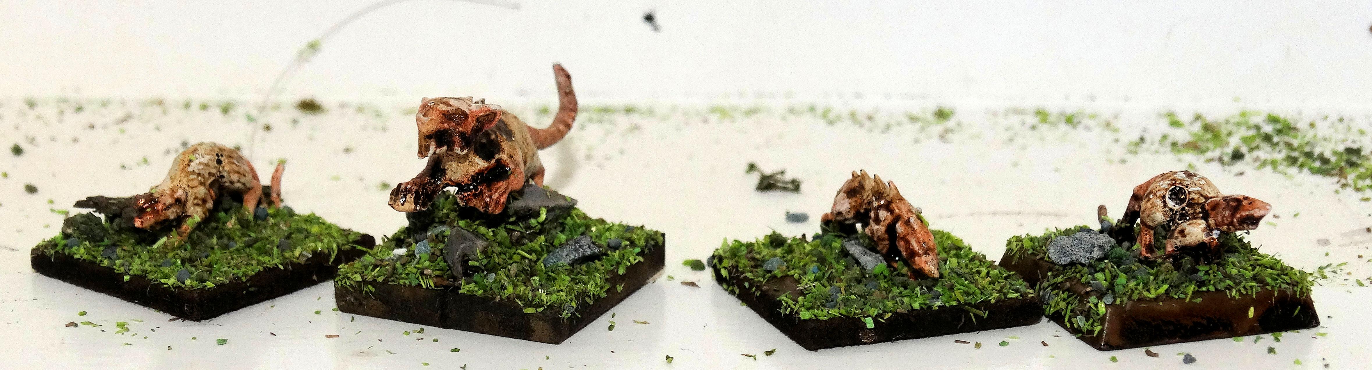 Giant Rats