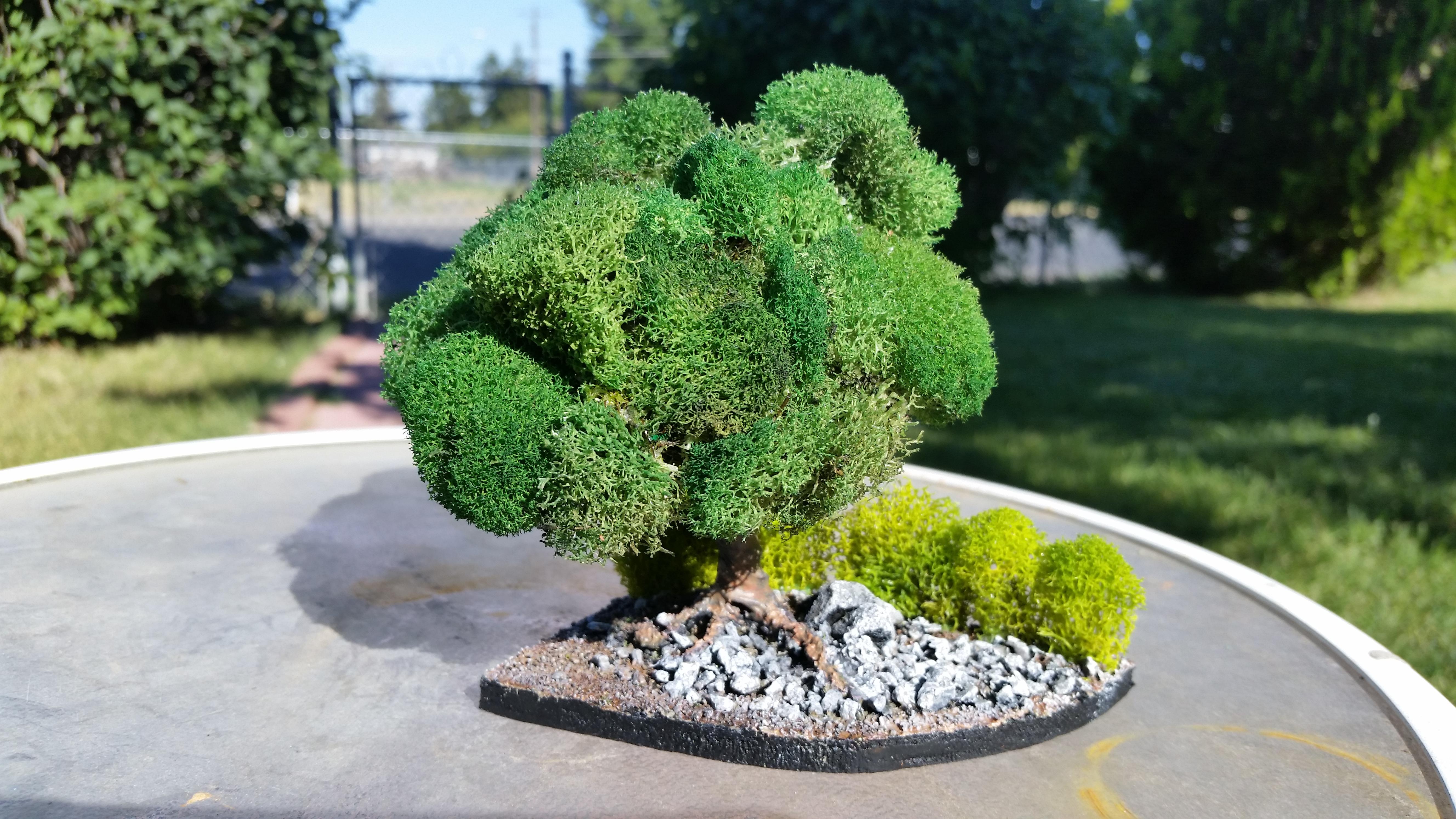 Terrain, My First Terrain attempt