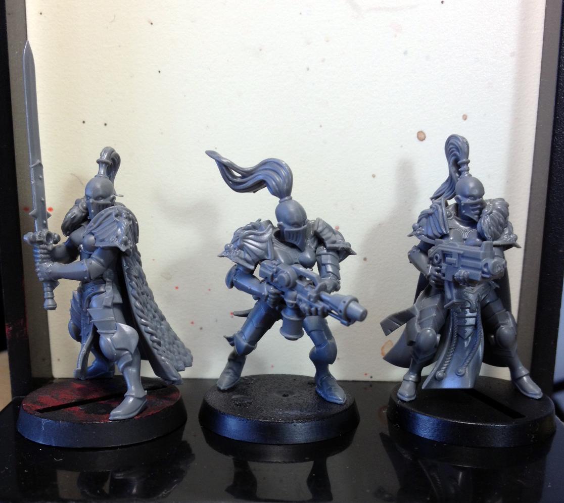 Conversion, Dark Eldar, Sisters Of Silence