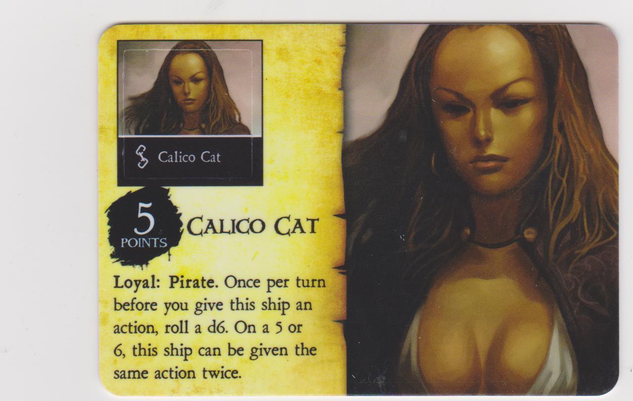 Calico Cat (3) (Pirate)