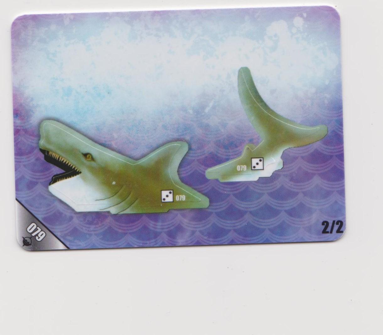 Carcharodon (4) (France)