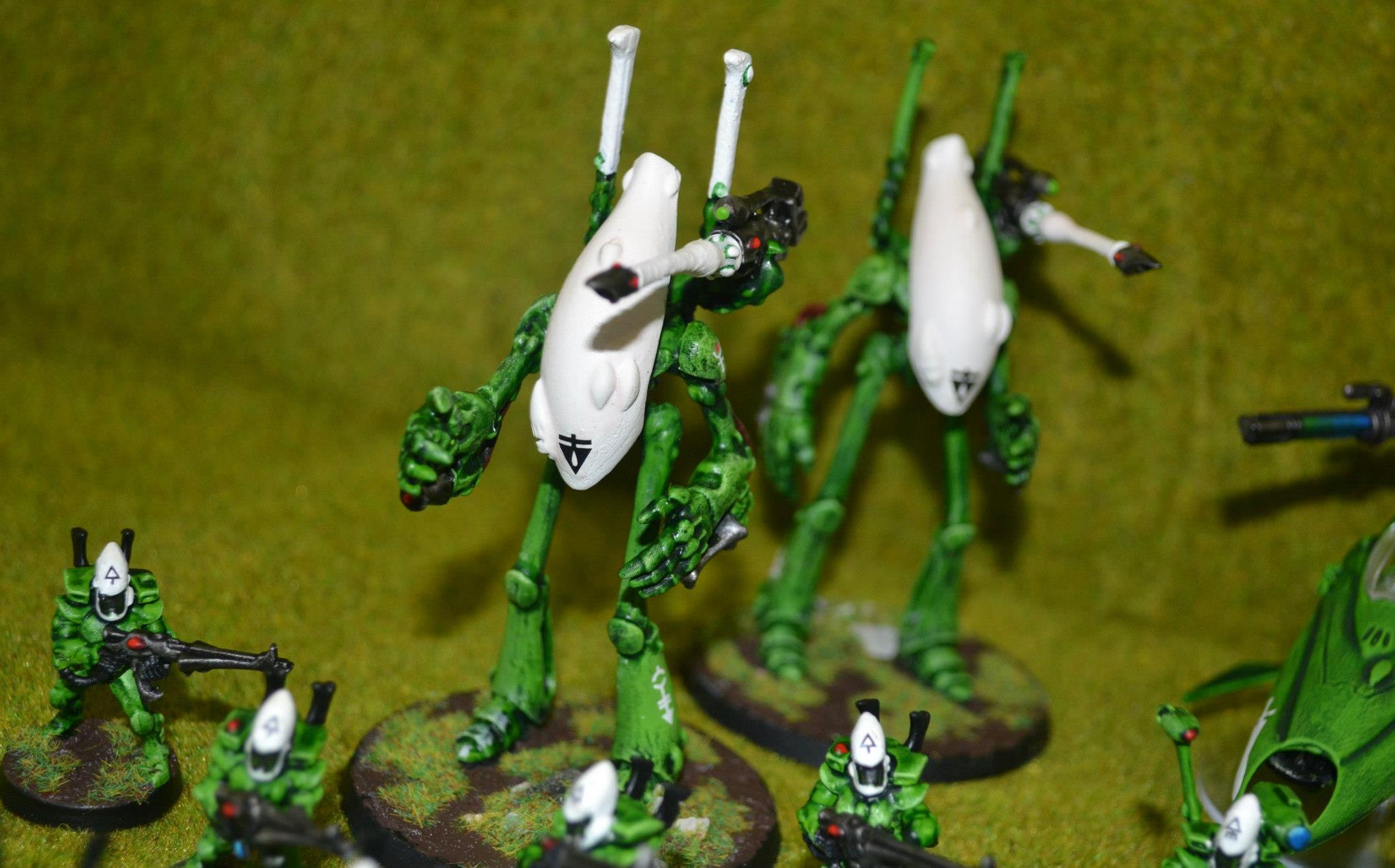 Eldar