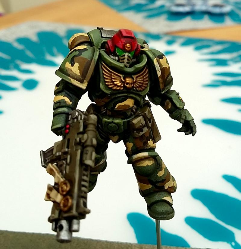 Camouflage, Primaris, Space Marines - Primaris Test Model - Gallery