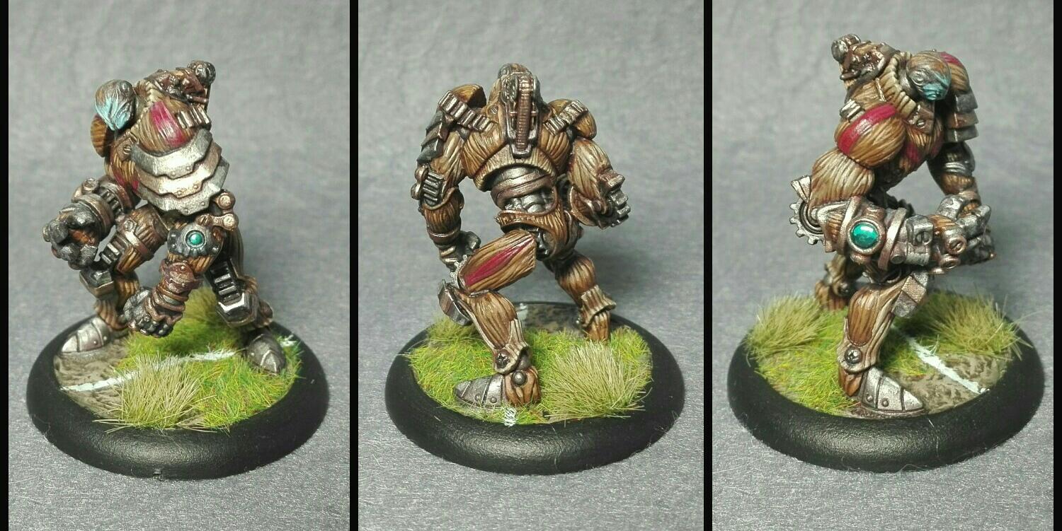 Locus