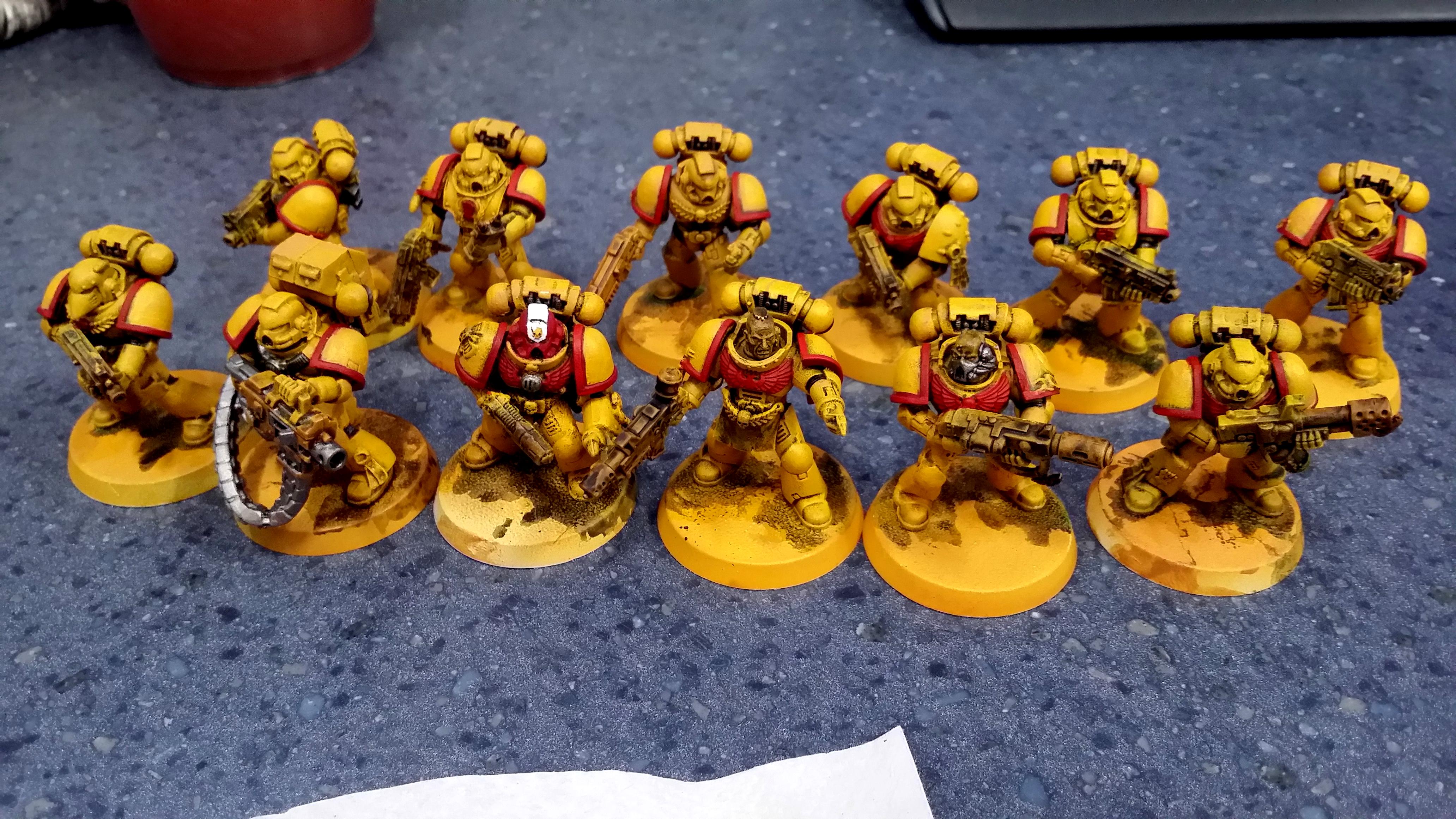 Imperial Fists, Space Marines, Tactical Squad