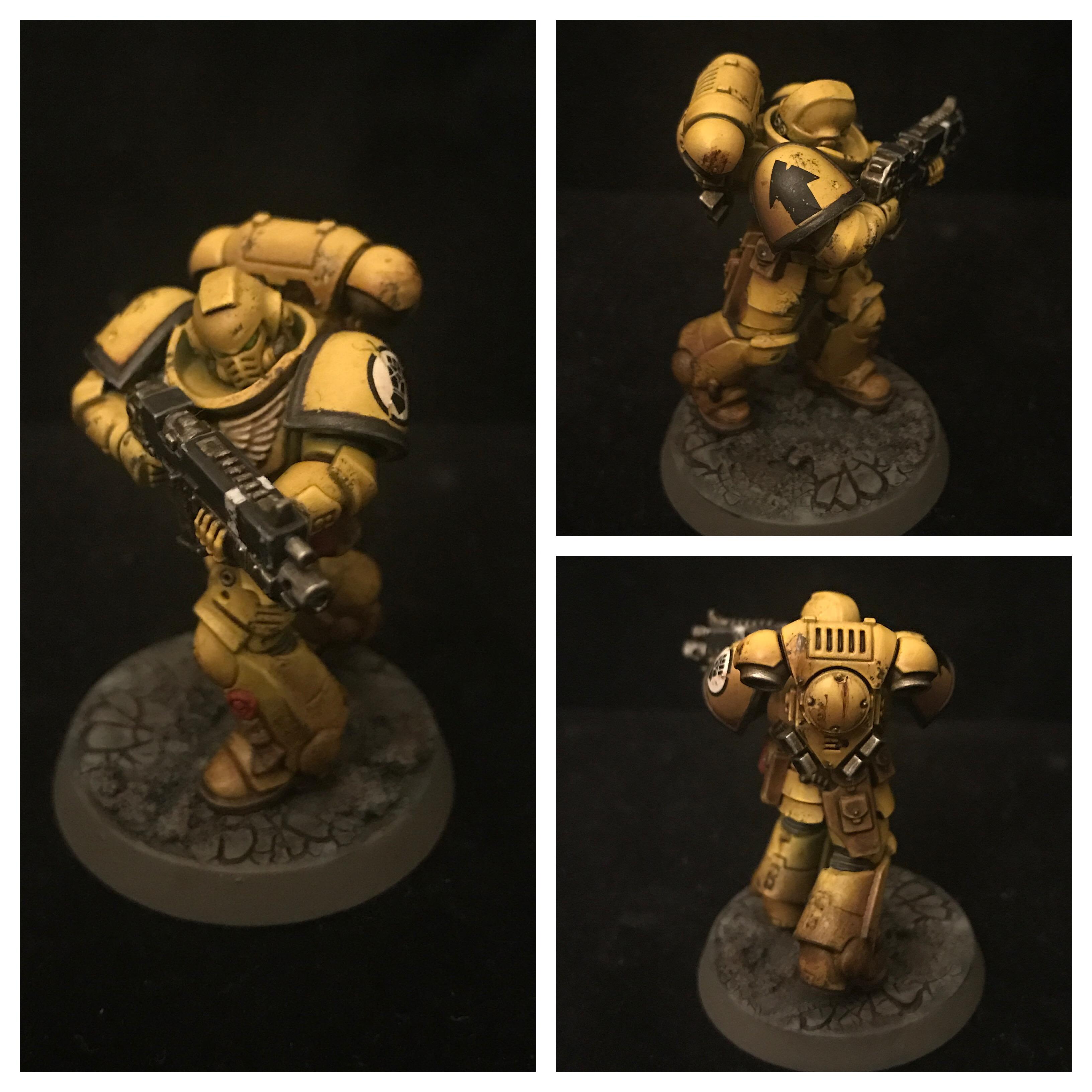 Imperial Fists, Primaris