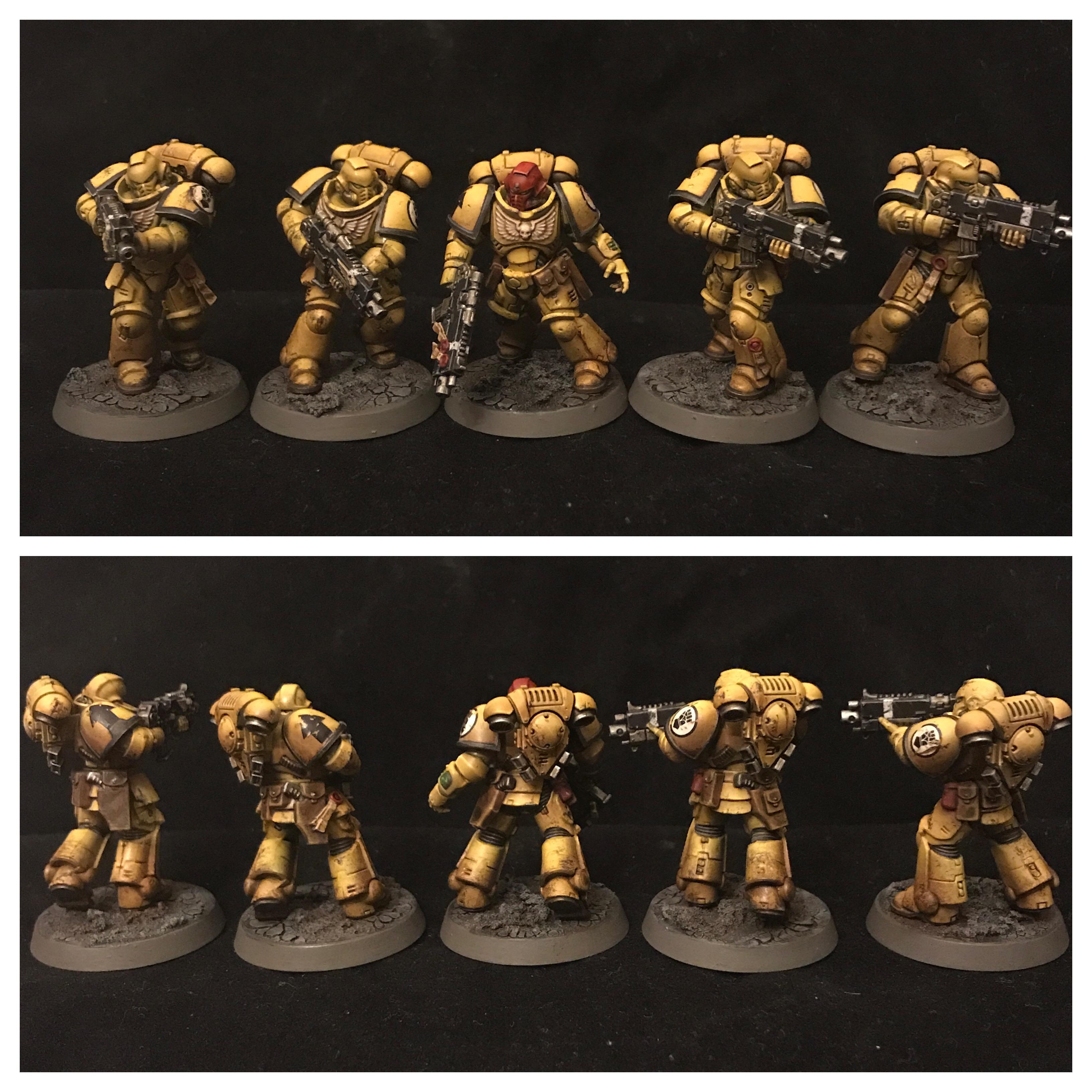 Imperial Fists, Primaris