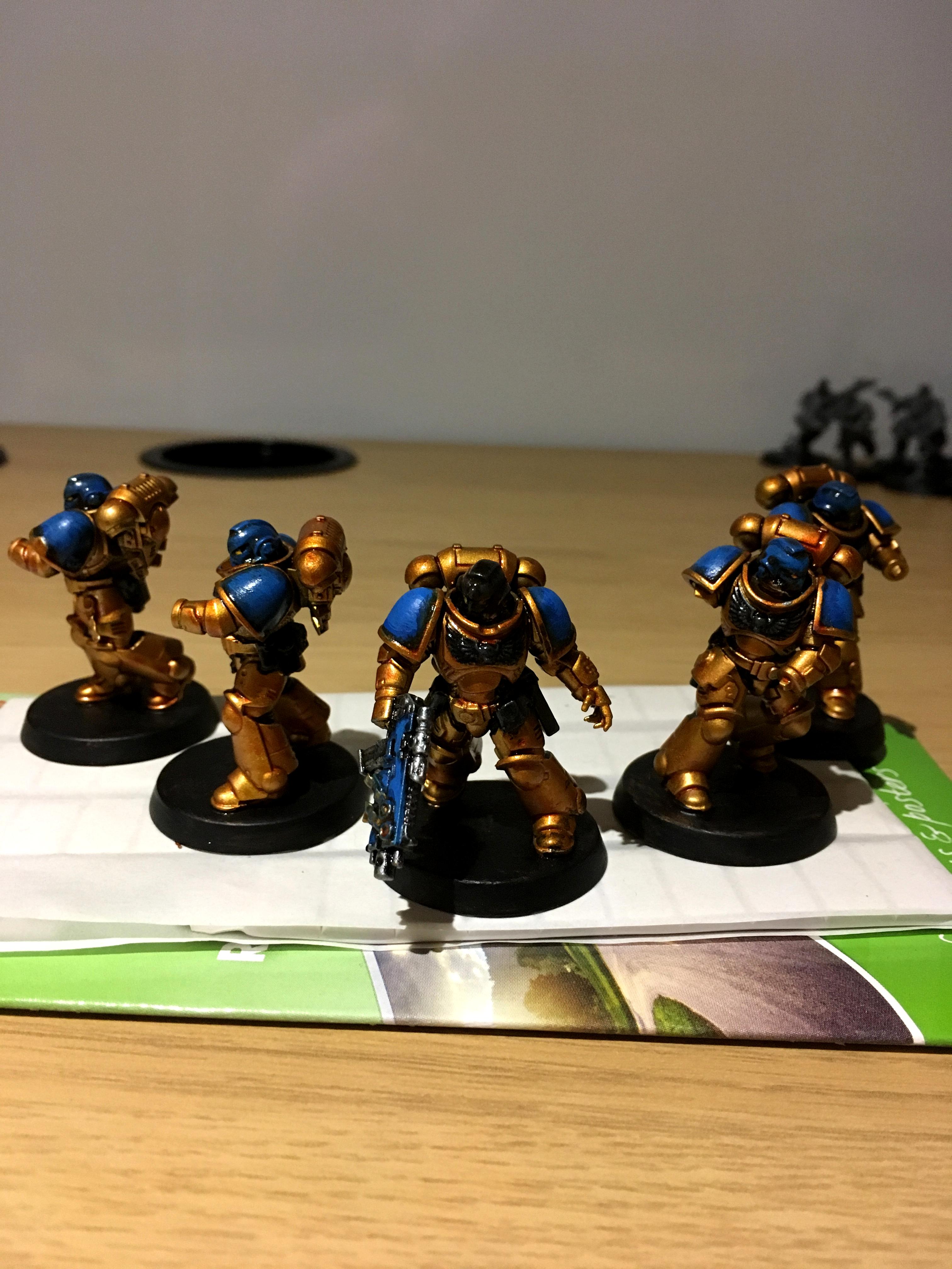Celestial Lions, Primrus Marines, Space Marines, Warhammer 40,000