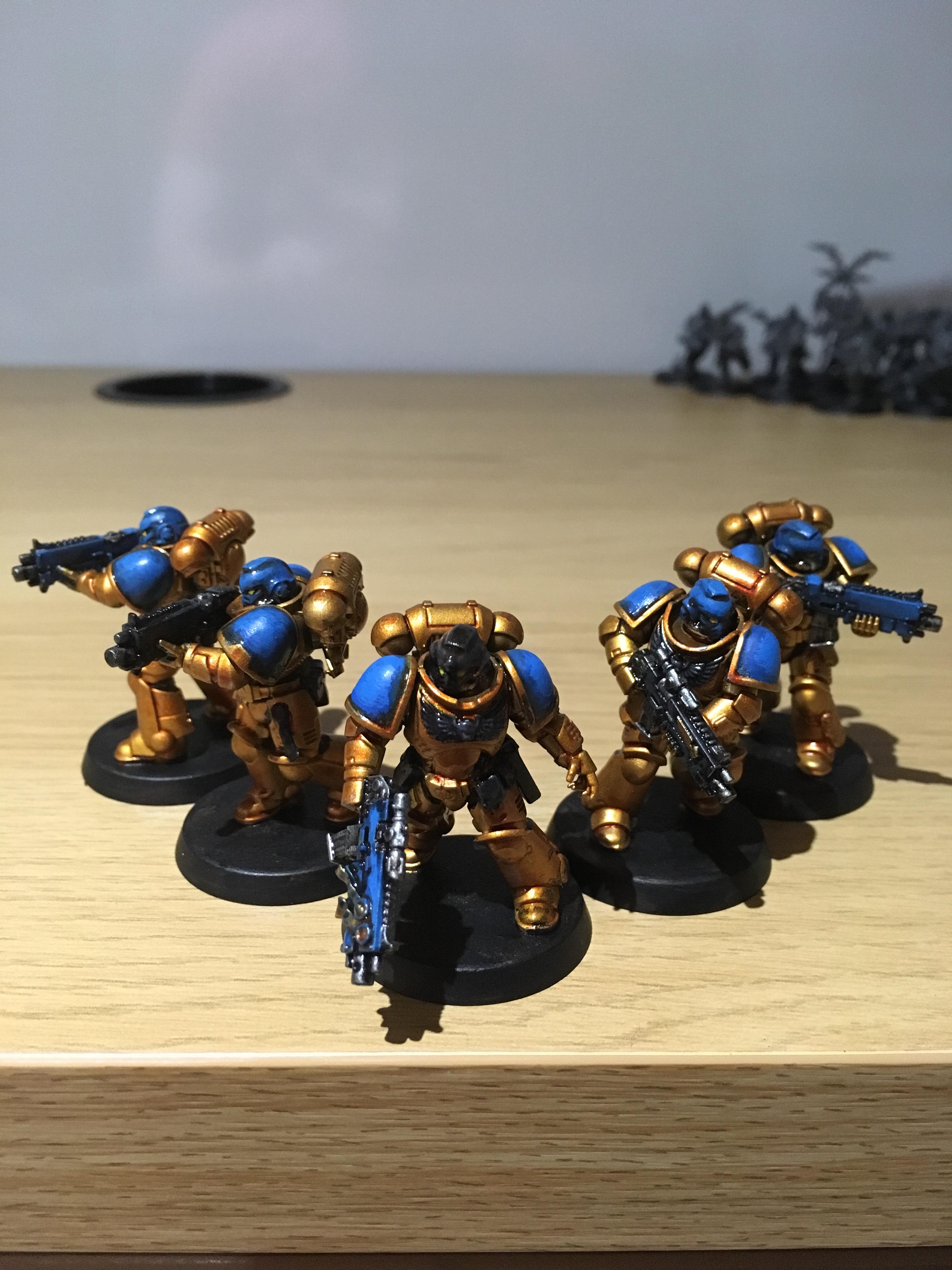 Celestial Lions, Primus Marines, Space Marines