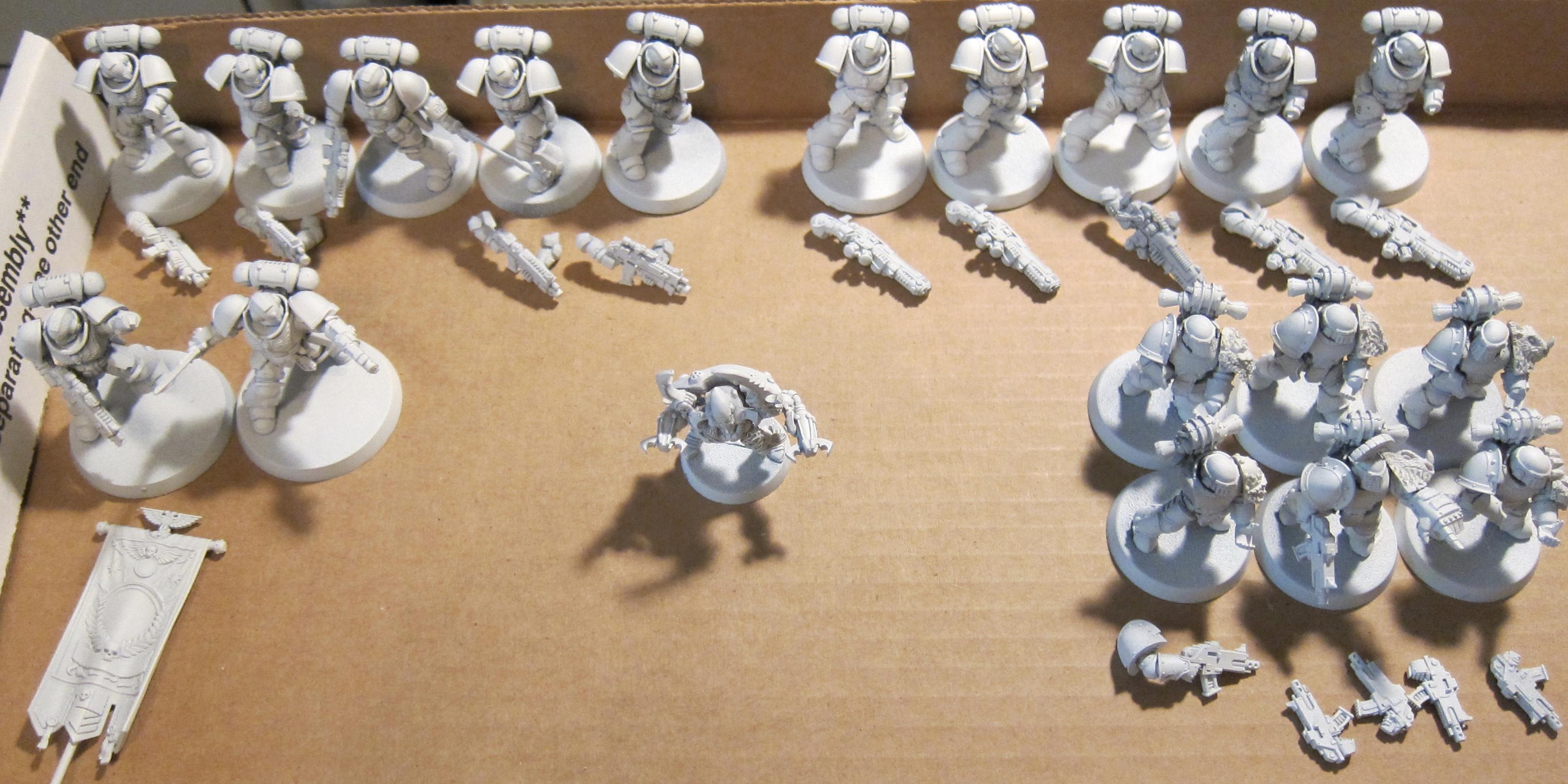primaris prime