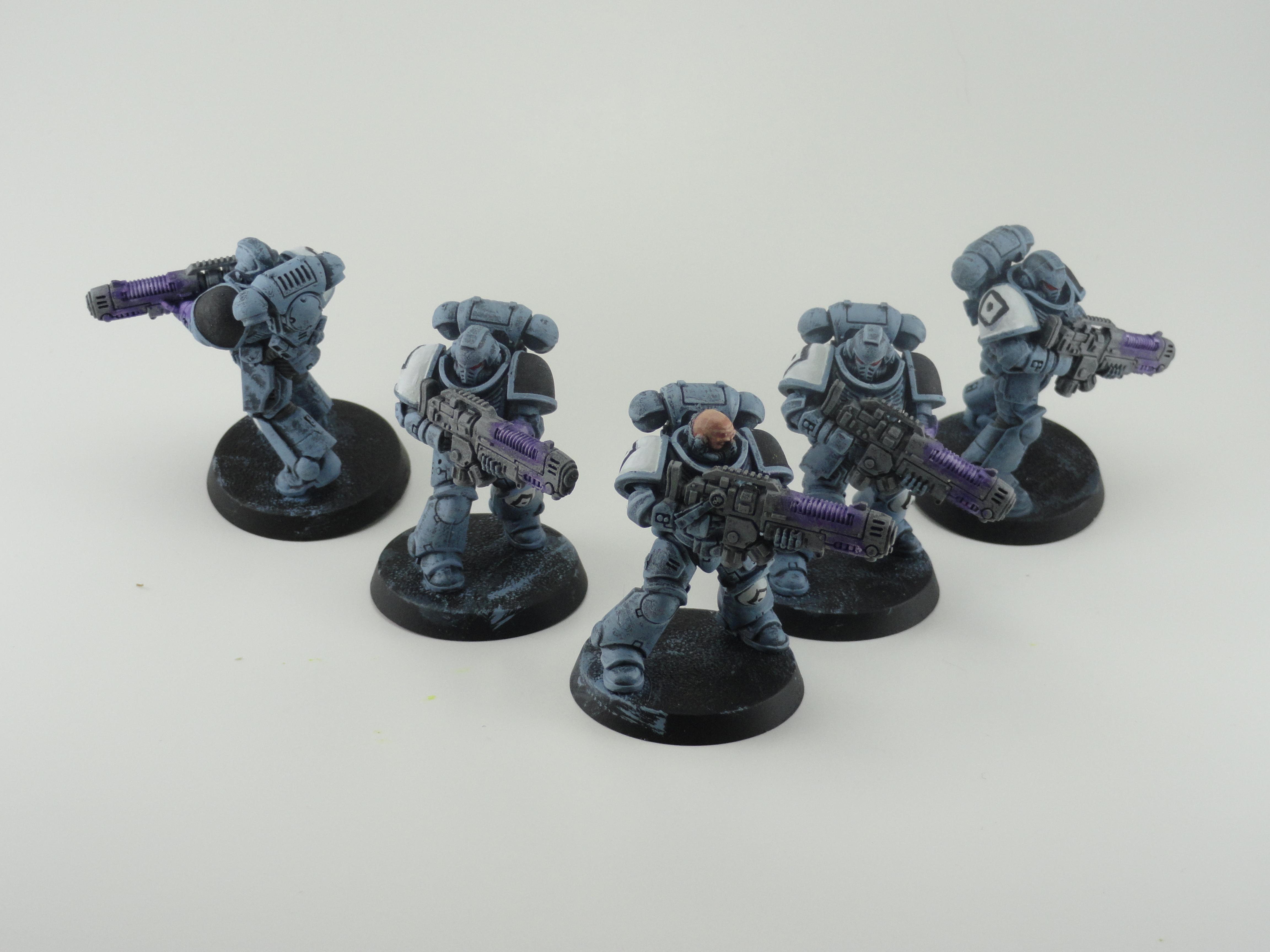 Primaris Space Wolves (Professional Quality)