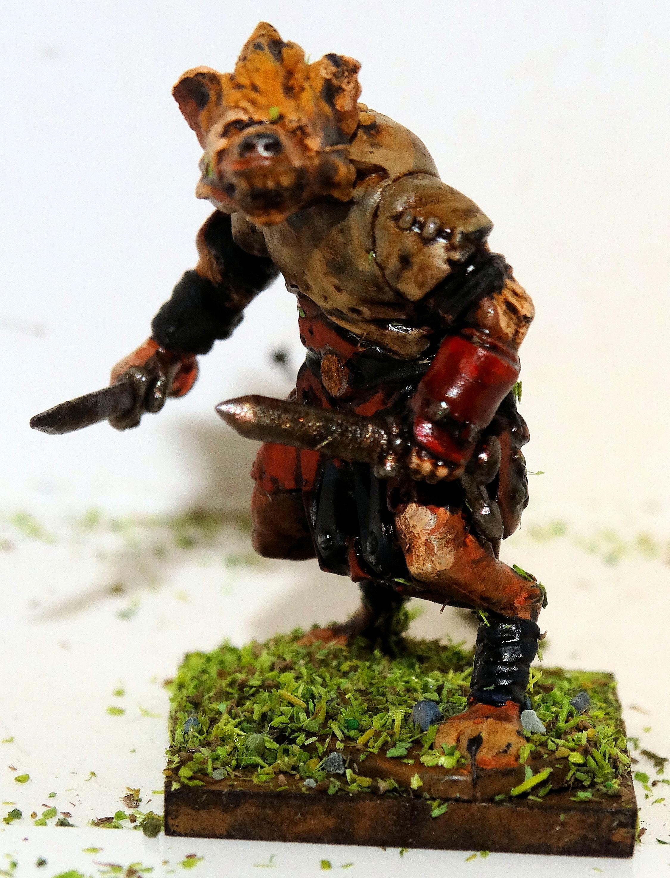 Gnoll Trap Expert
