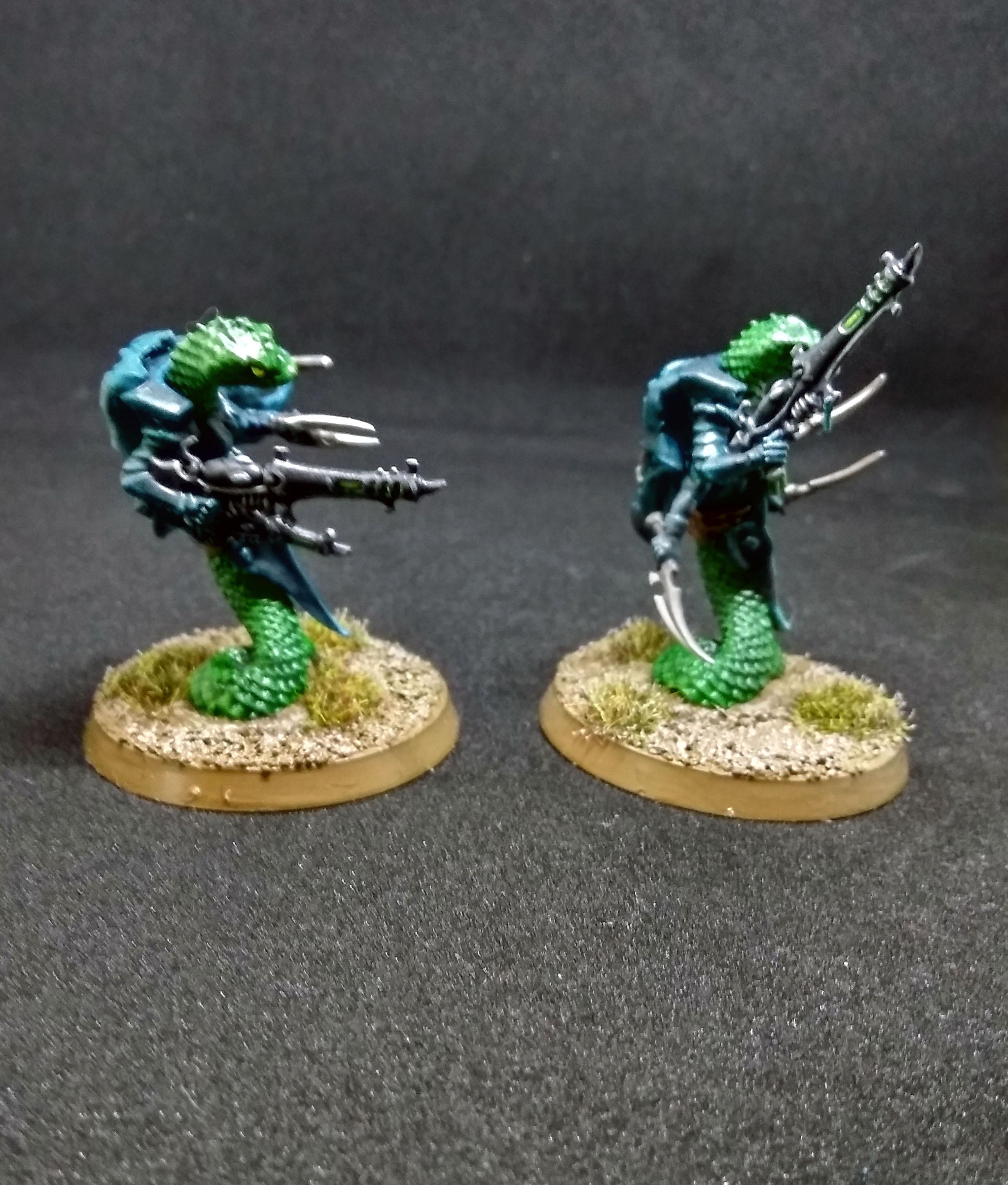 Conversion, Dark Eldar, Sslyth