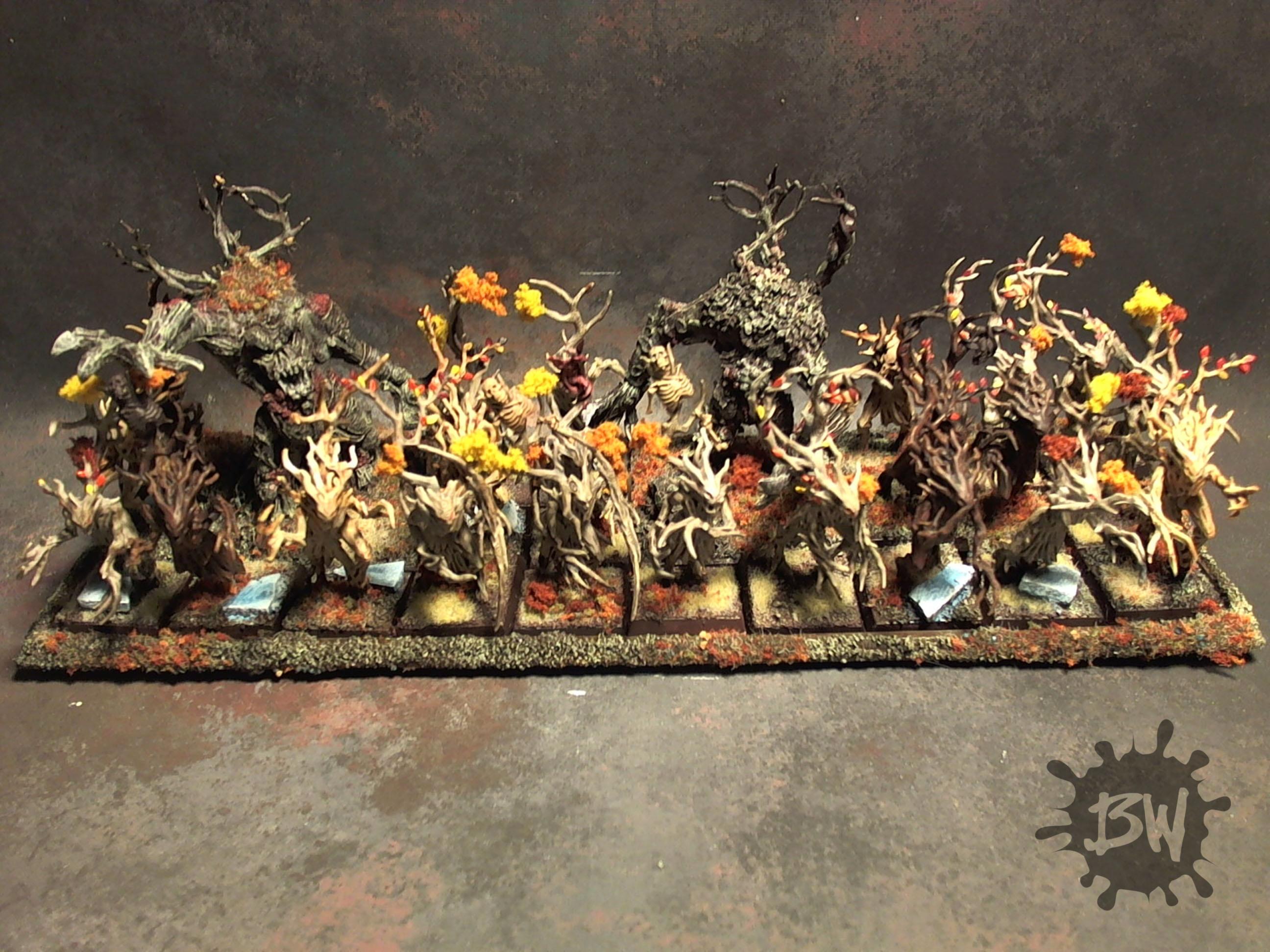 Age Of Sigmar, Sylvaneth Dryads, Warhammer Fantasy, Wood Elves