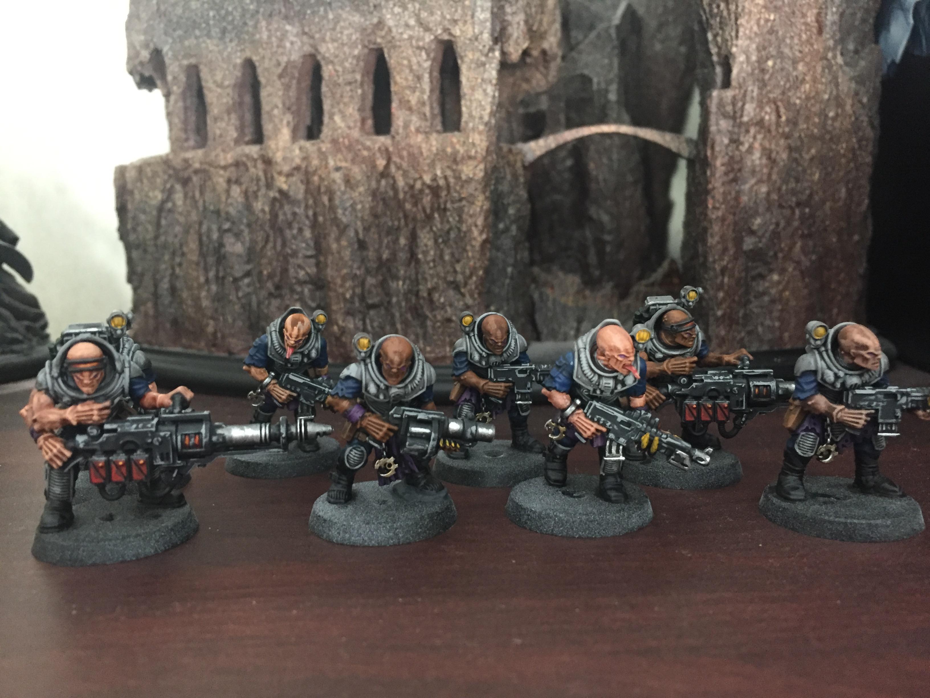 Neophytes v.2 WIP2