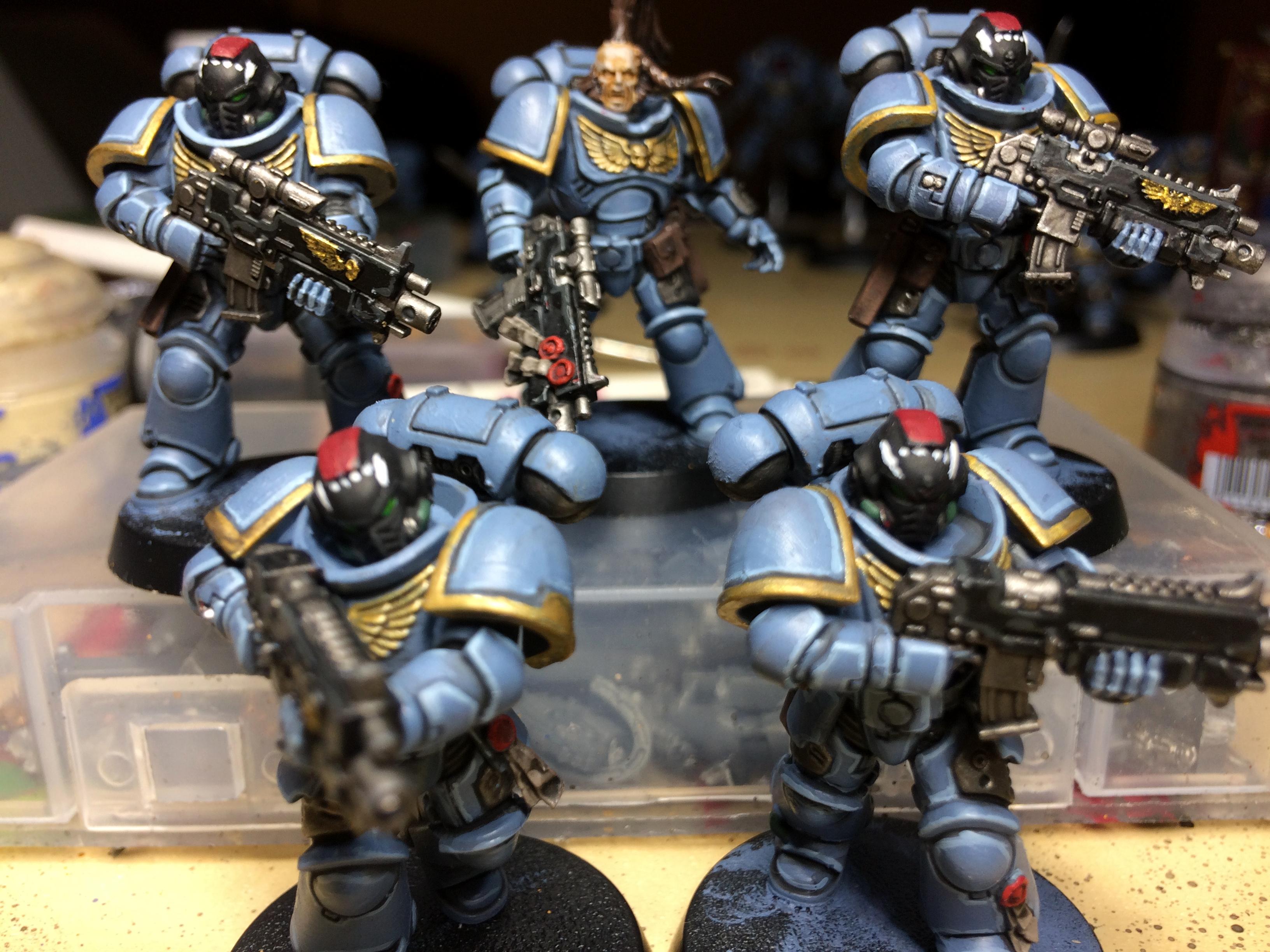 Primarus Wolves