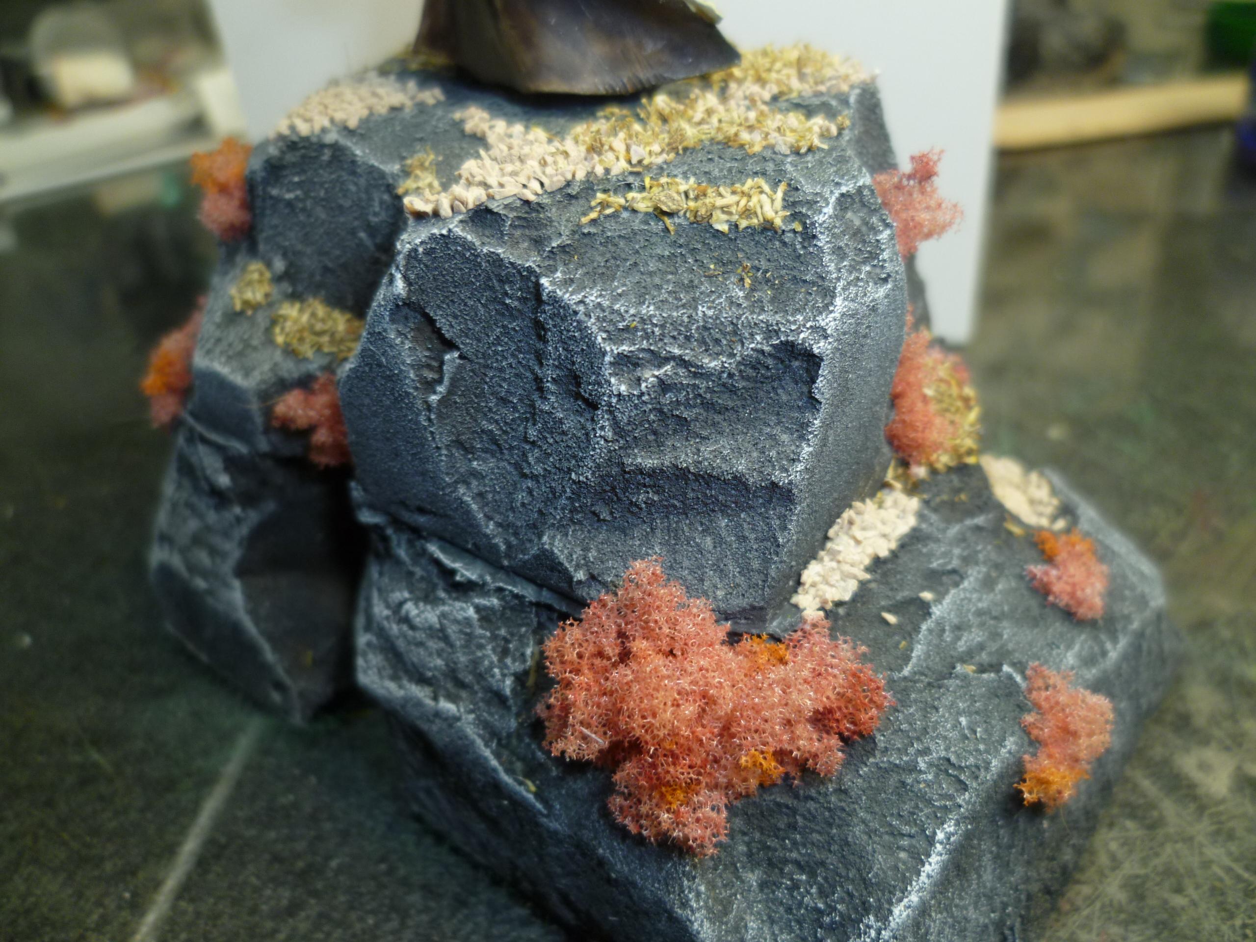 terrain