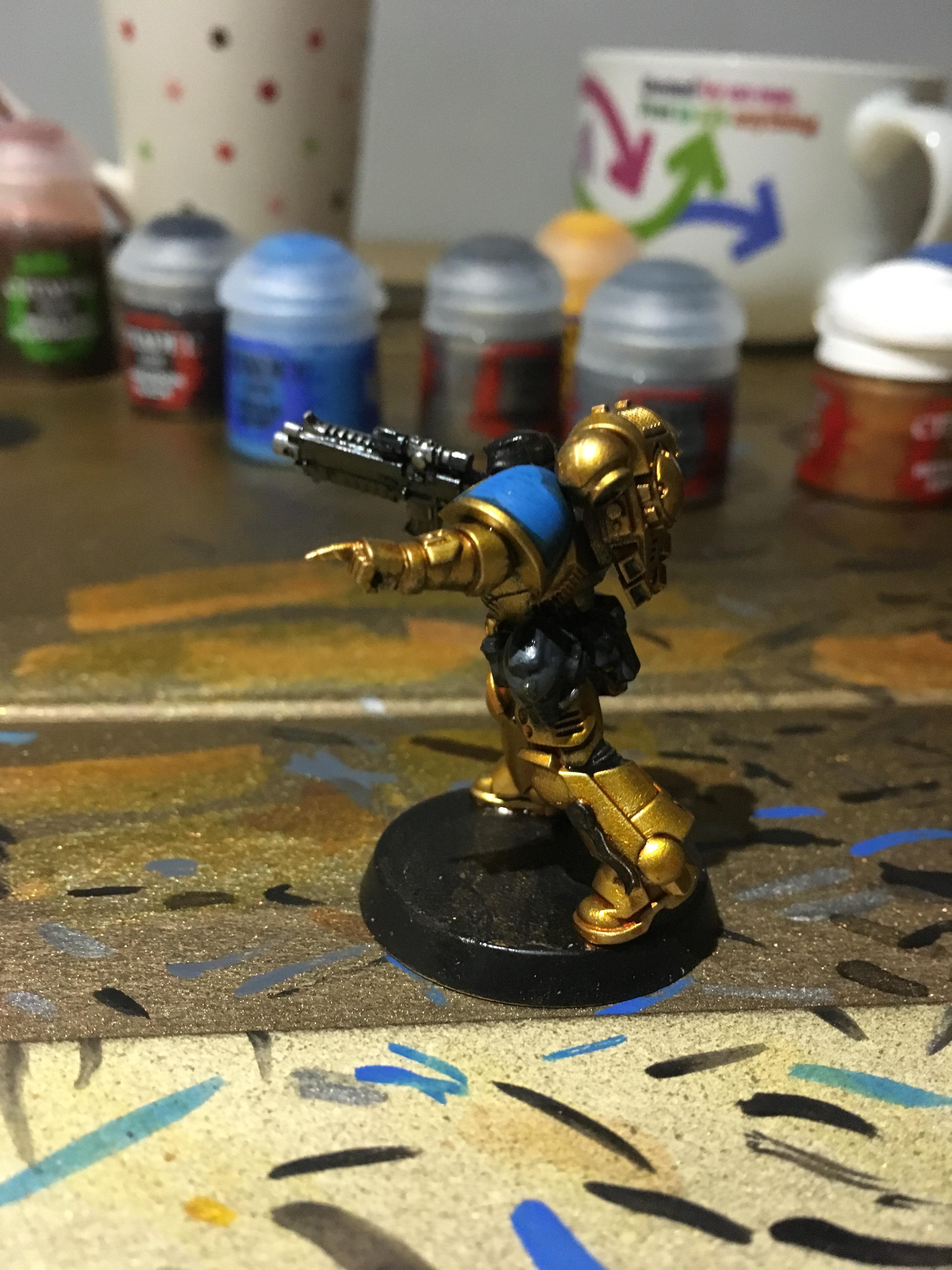 Celestial Lions, Primus Marines, Space Marines