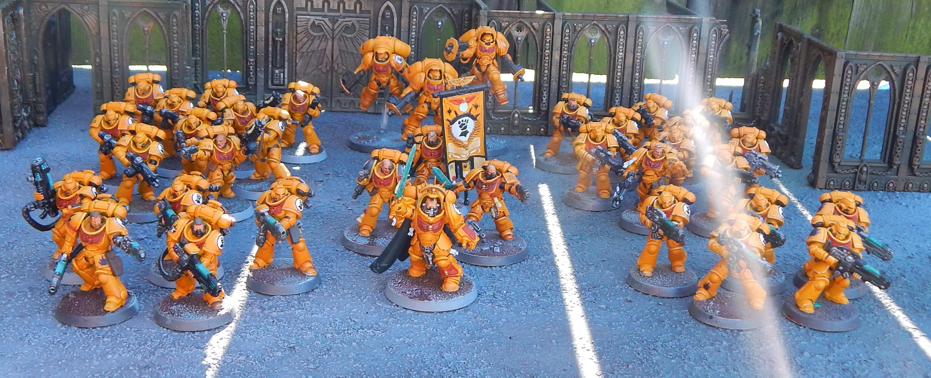Imperial Fists, Imperial Fists
