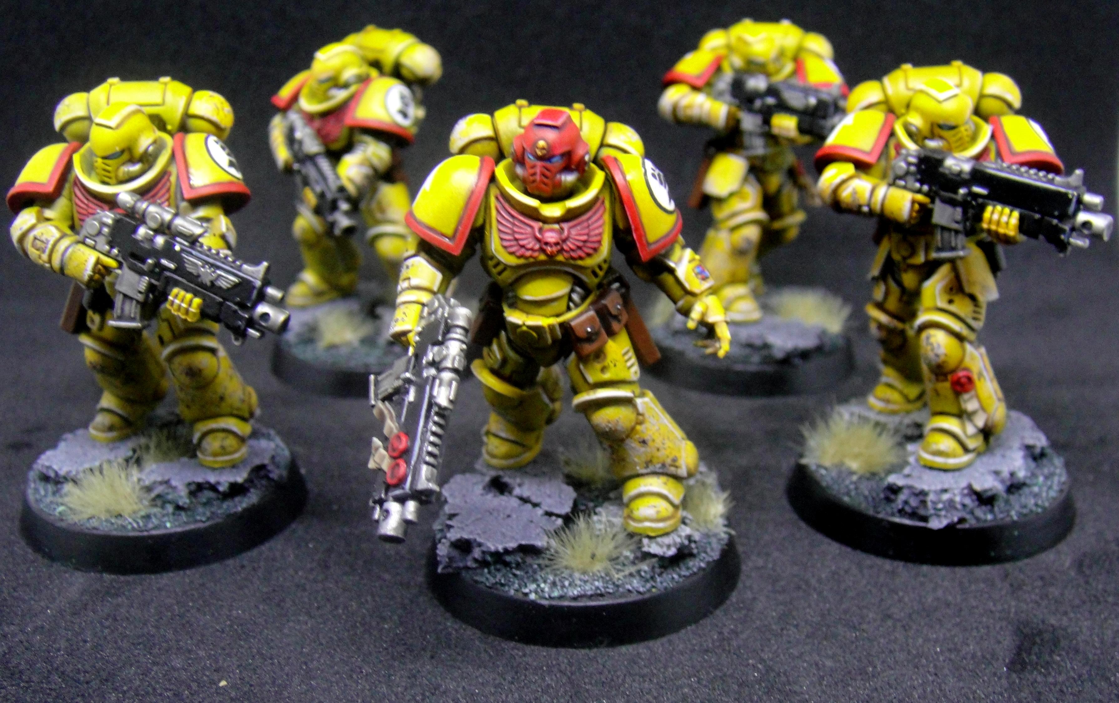 &gt;imperial Fists. Primaris Marines, &gt;imperialfists. Primarismarines