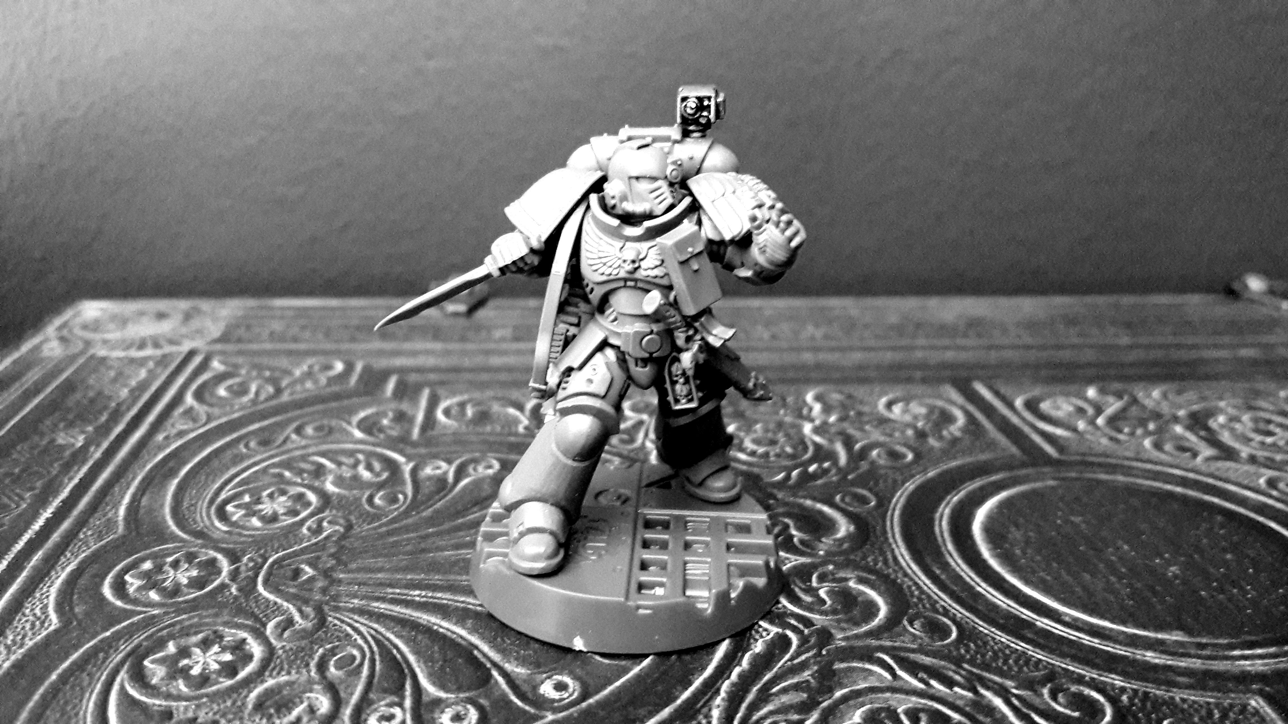 captain wip