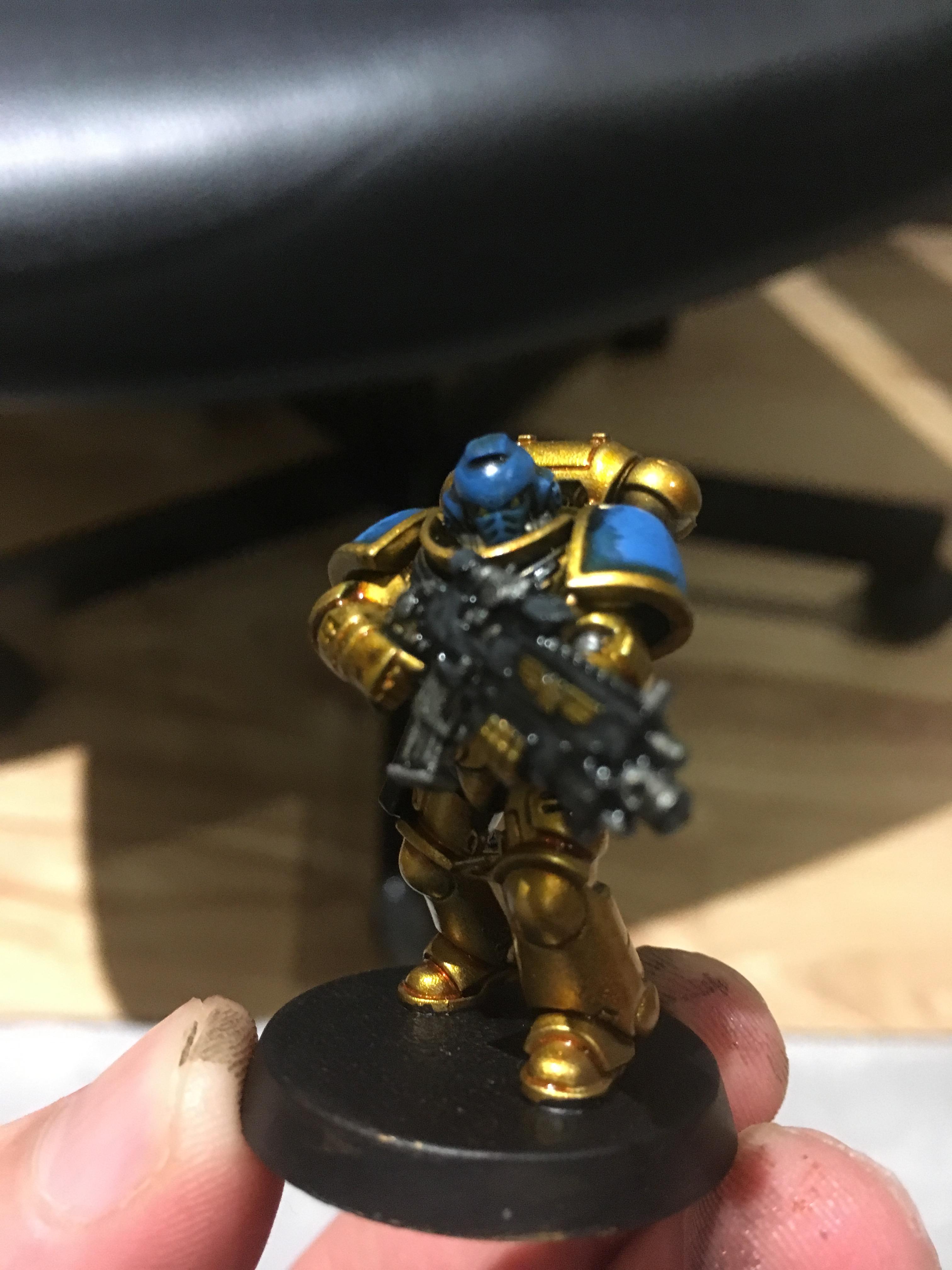 Celestial Lions, Imperial Fist Successor Chapter, Intercessor Squad, Primus Marines, Space Marines