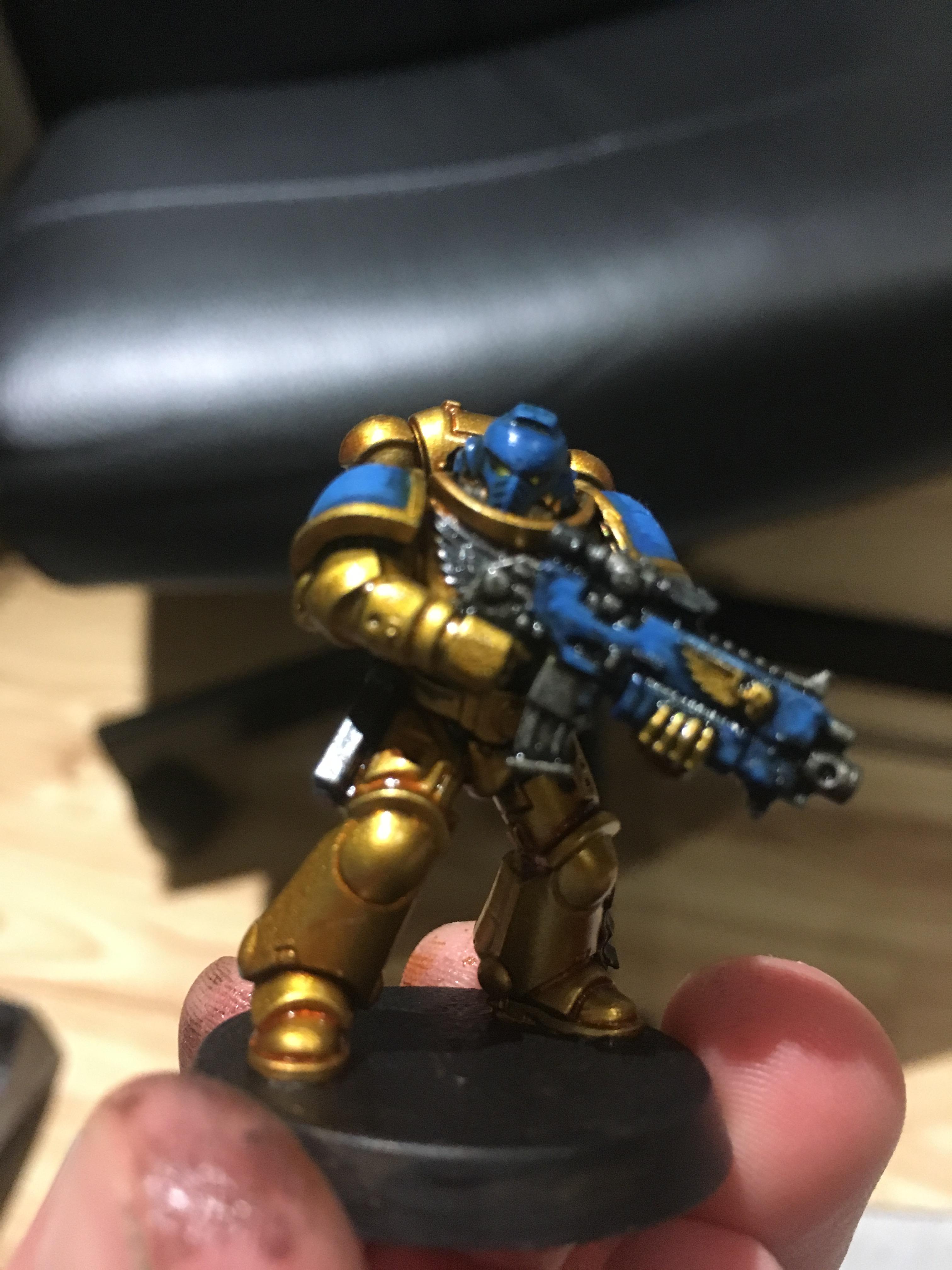 Celestial Lions, Imperial Fist Successor Chapter, Intercessor Squad, Primus Marines, Space Marines
