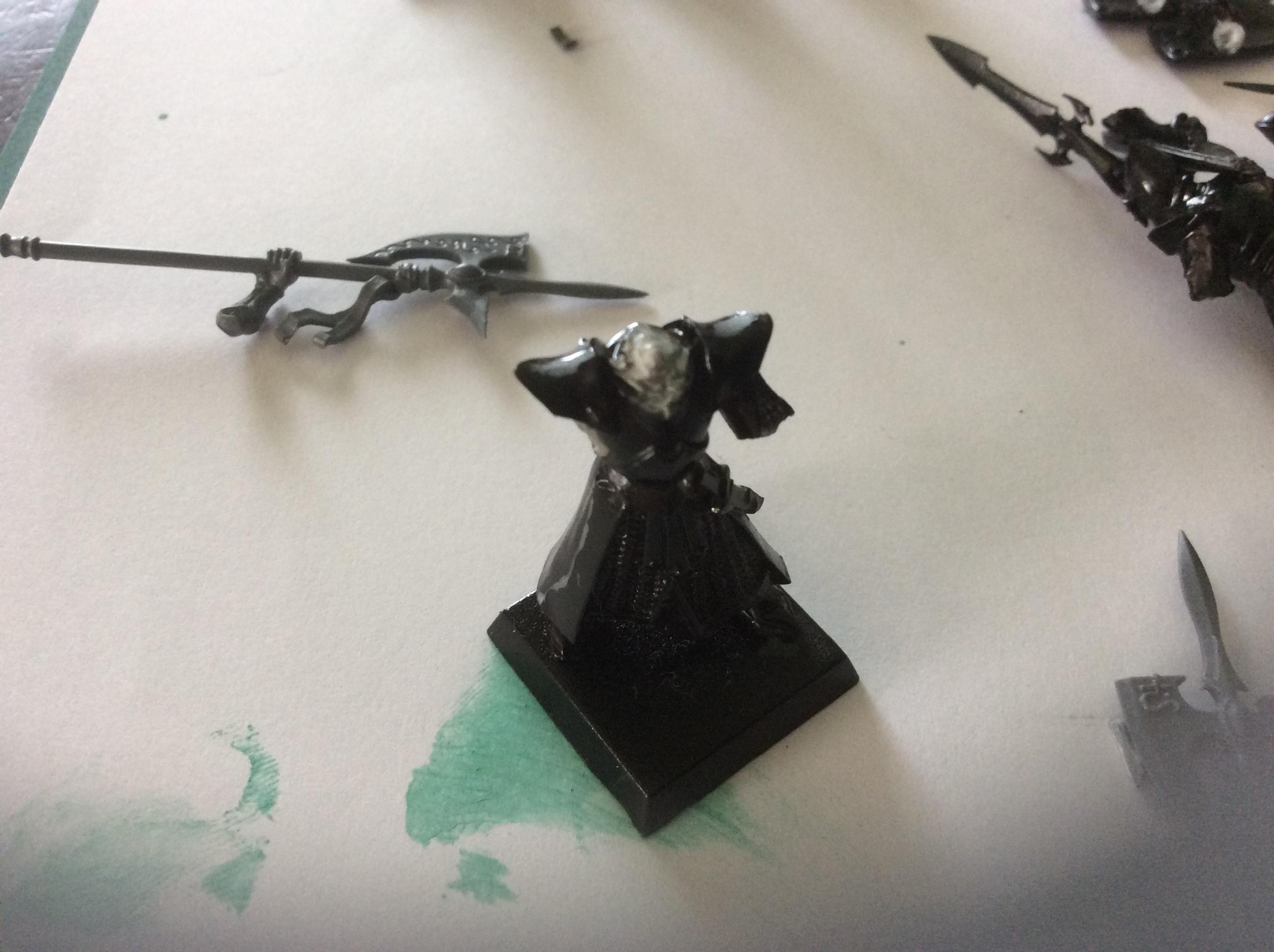 RoR Dark elf captain conversion