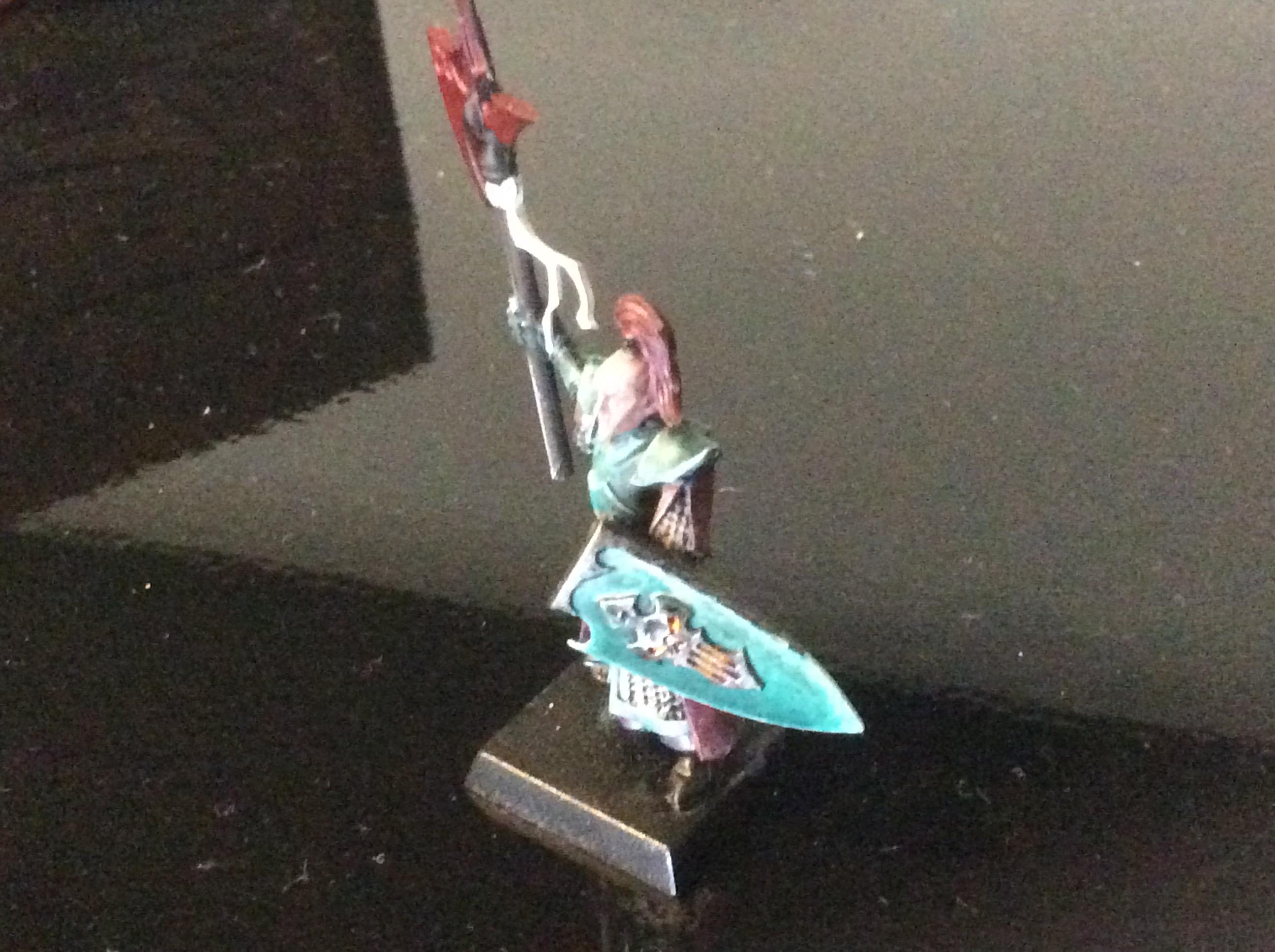 RoR dark elf captain conversion