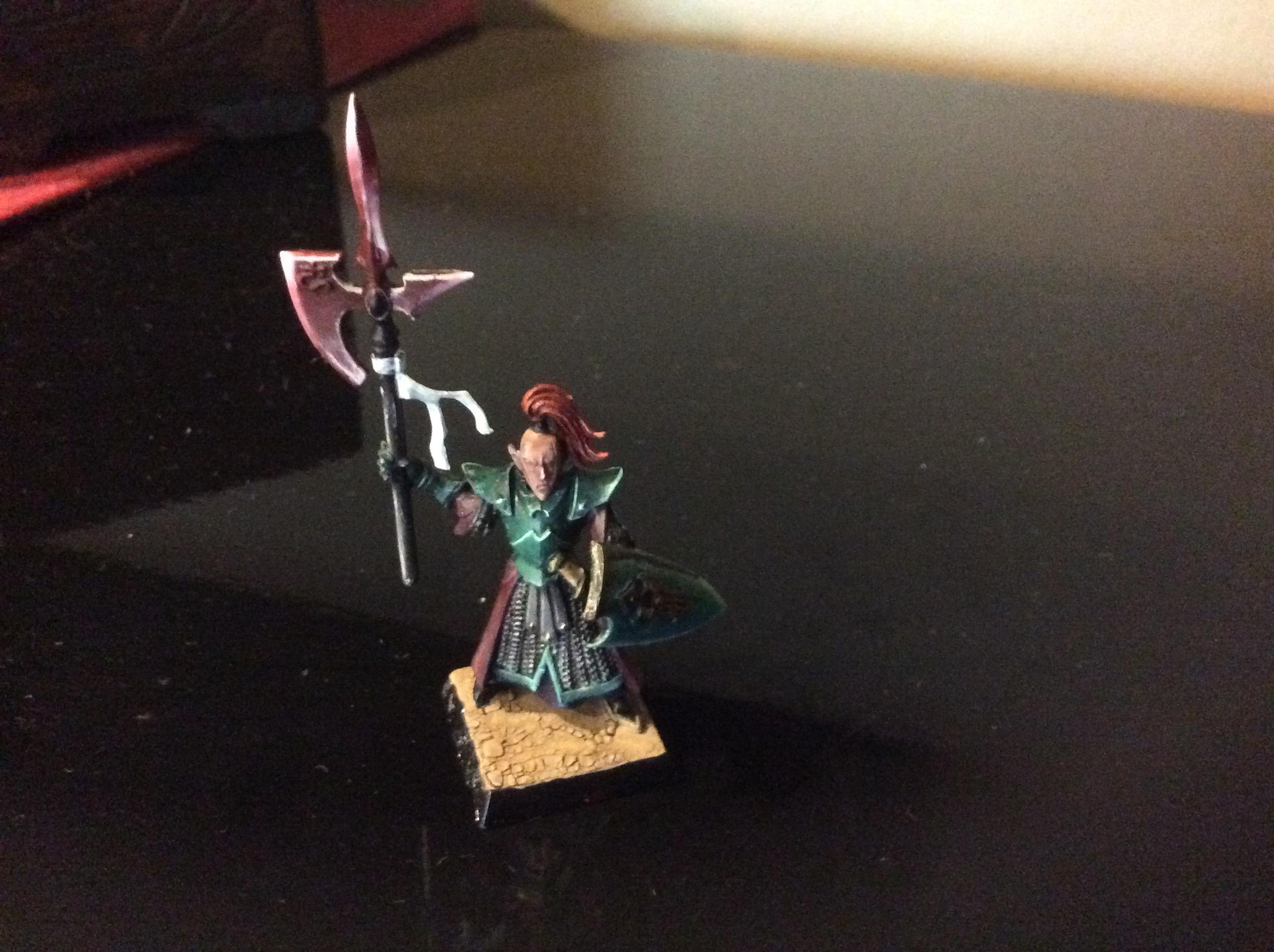 RoR dark elf captain conversion