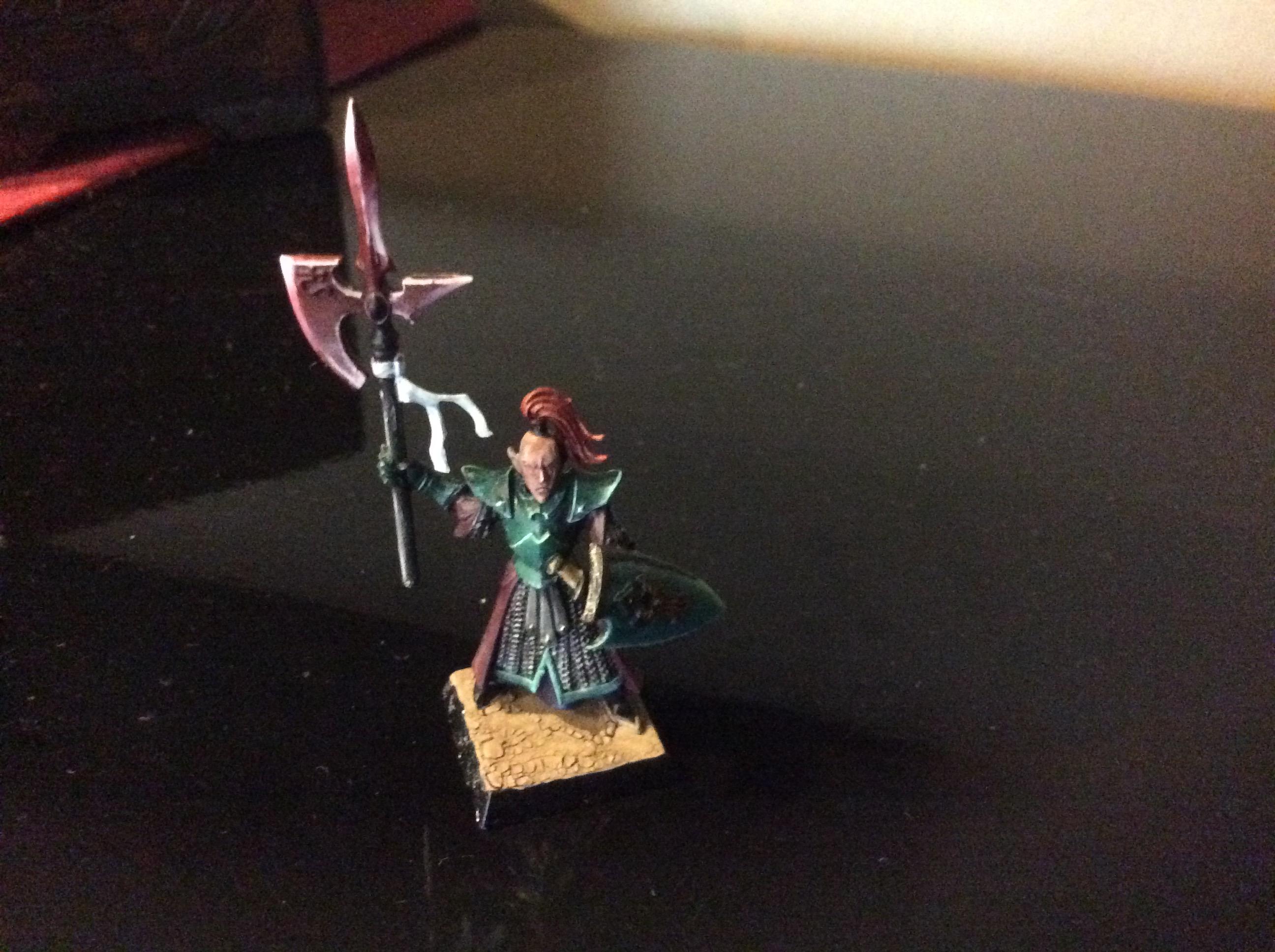 RoR dark elf captain conversion