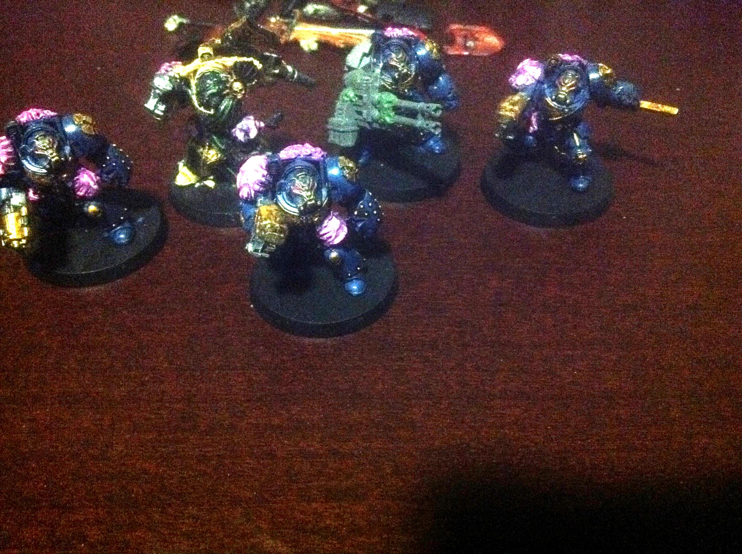 DV terminators