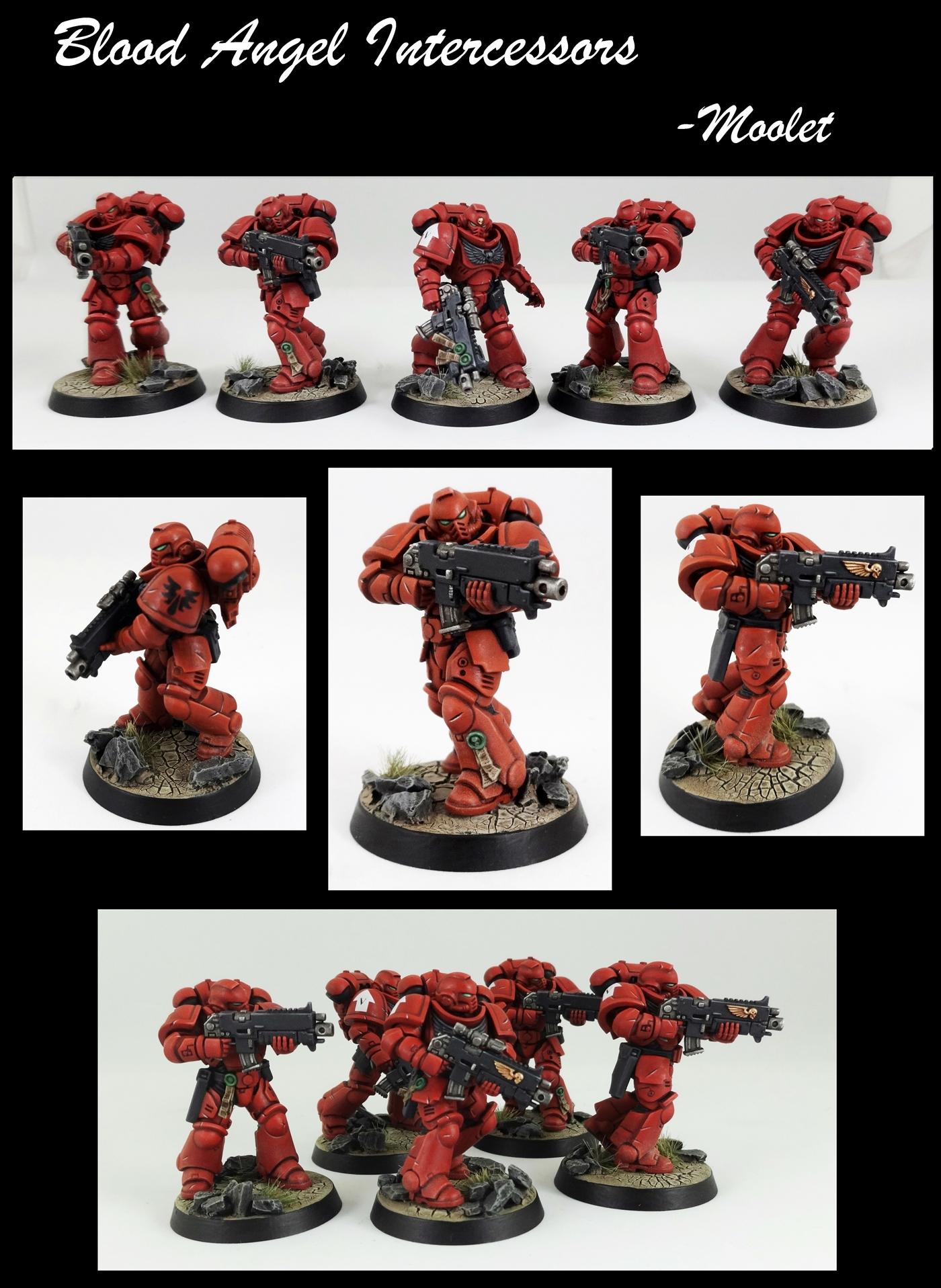 Blood Angel Intercessors