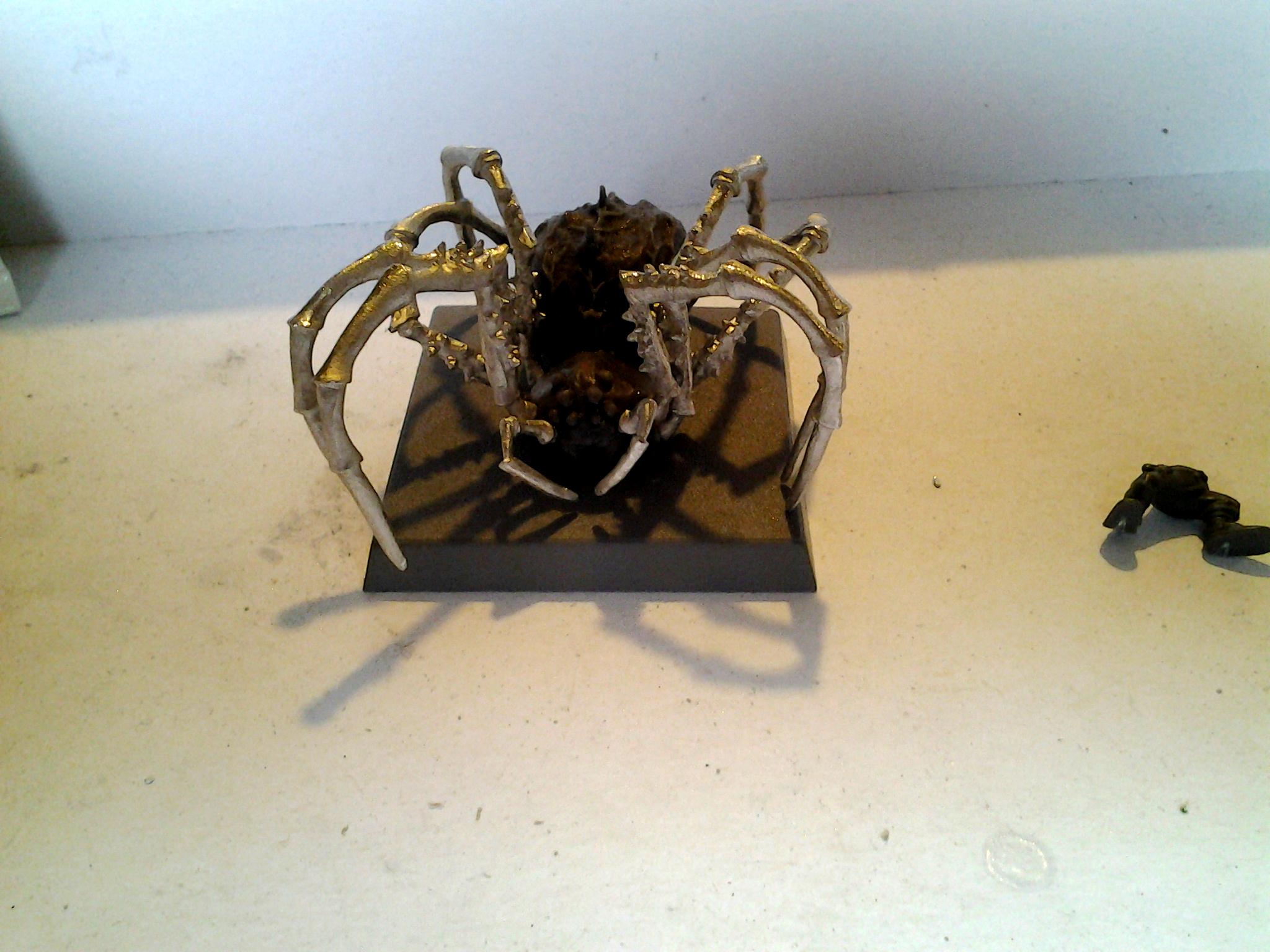Spider